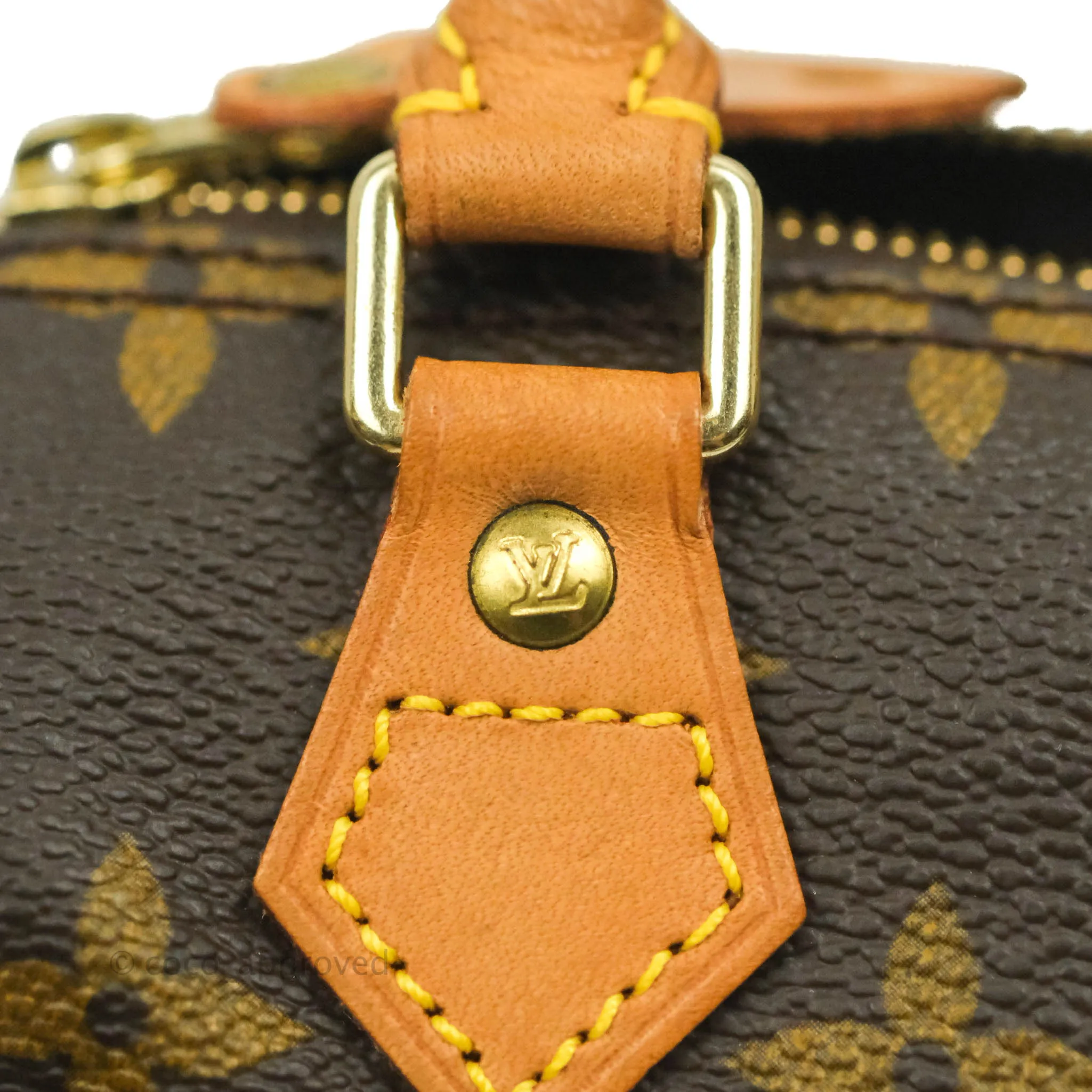 Louis Vuitton Monogram Canvas Nano Speedy Vintage
