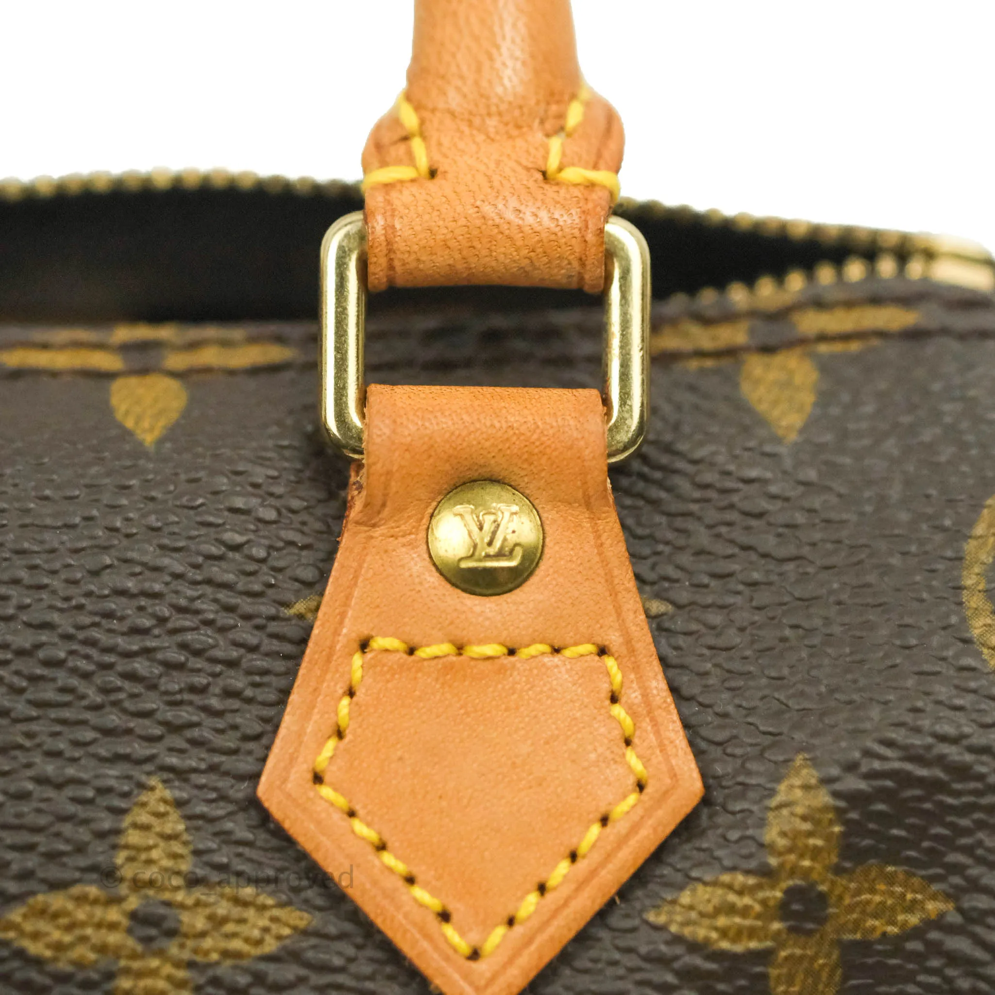 Louis Vuitton Monogram Canvas Nano Speedy Vintage