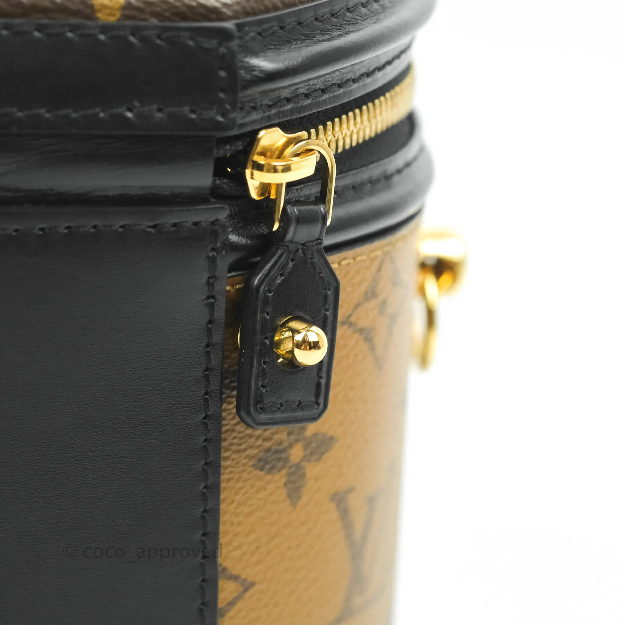 Louis Vuitton Monogram Canvas Reverse Cannes Bag