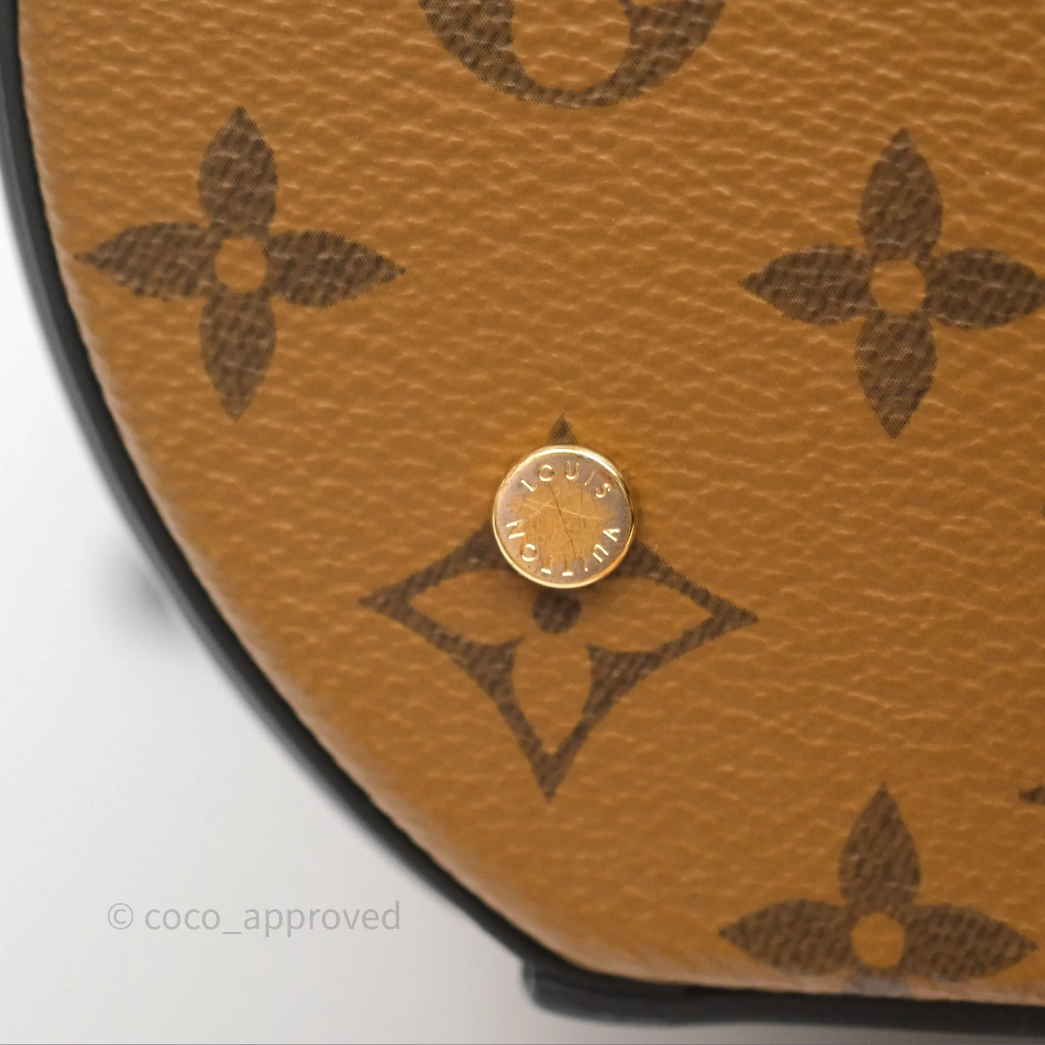Louis Vuitton Monogram Canvas Reverse Cannes Bag