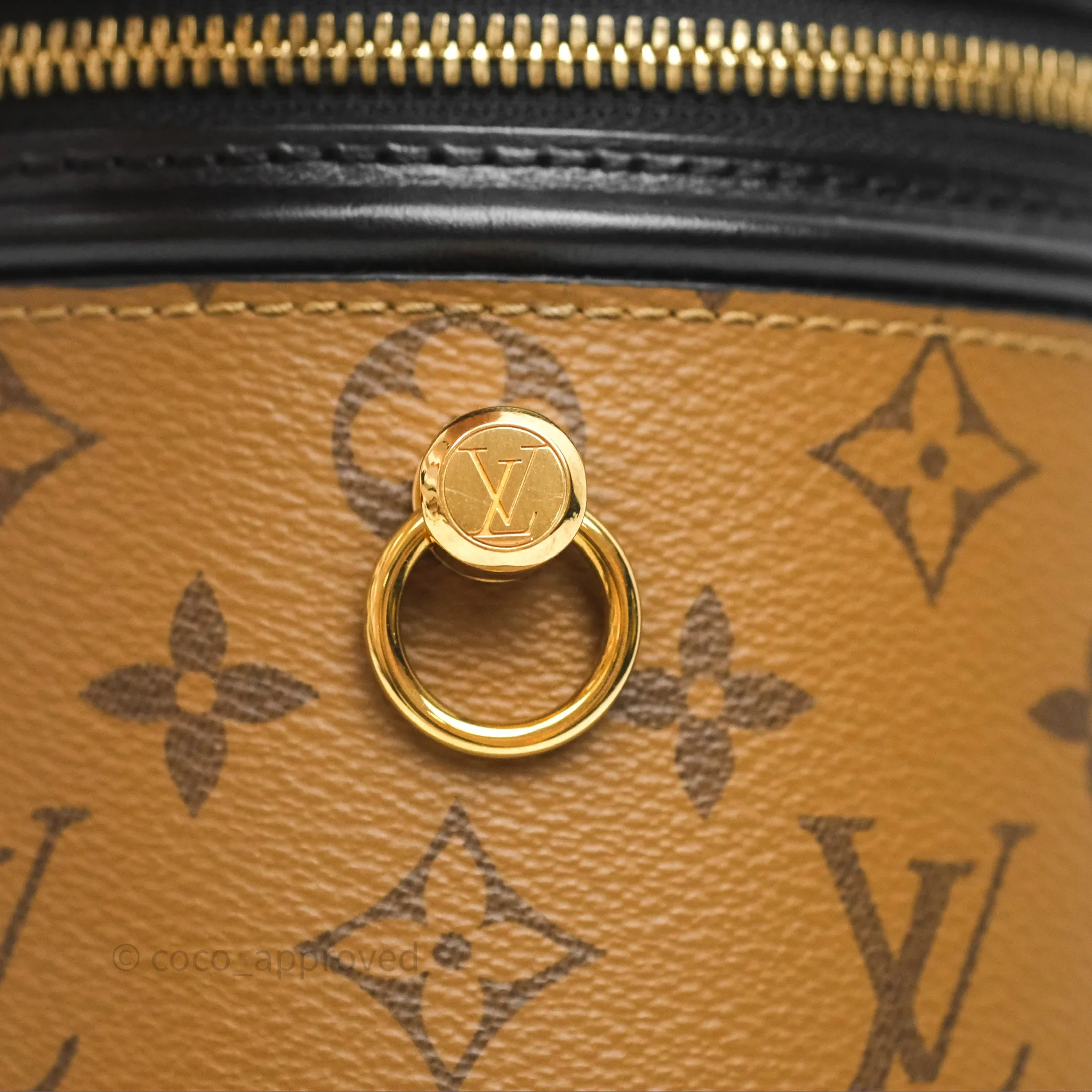 Louis Vuitton Monogram Canvas Reverse Cannes Bag