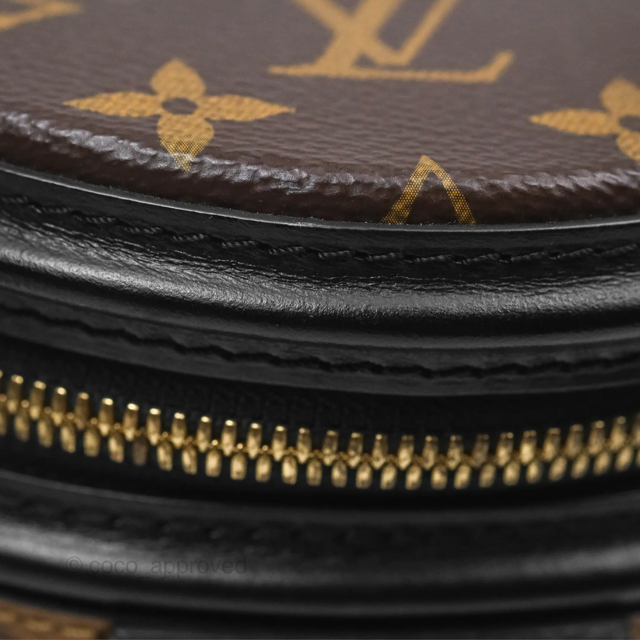 Louis Vuitton Monogram Canvas Reverse Cannes Bag