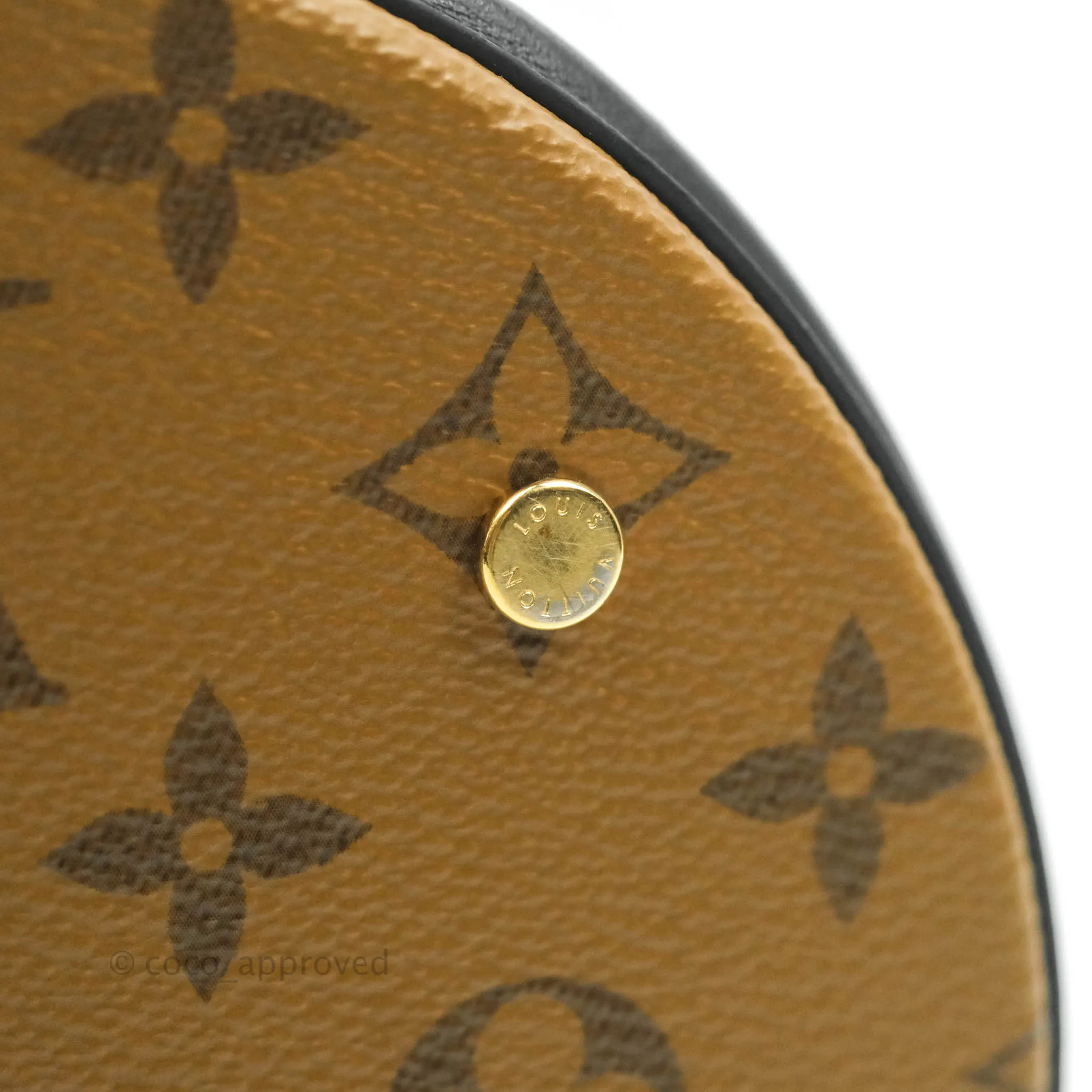 Louis Vuitton Monogram Canvas Reverse Cannes Bag