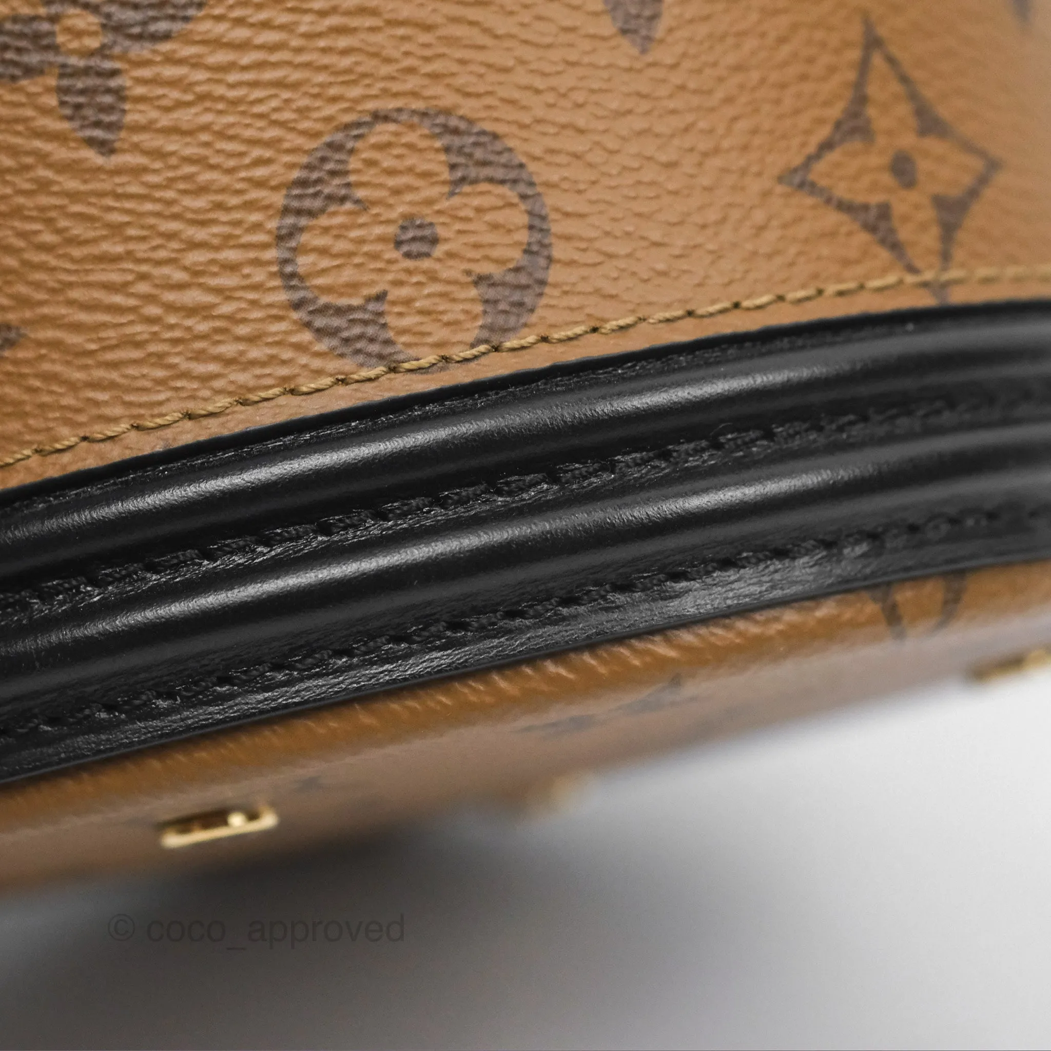 Louis Vuitton Monogram Canvas Reverse Cannes Bag