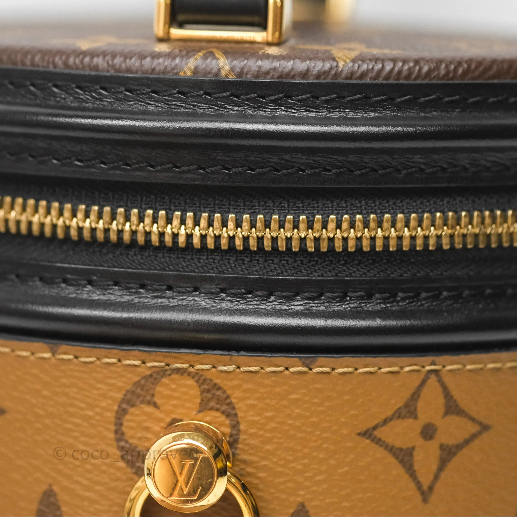 Louis Vuitton Monogram Canvas Reverse Cannes Bag