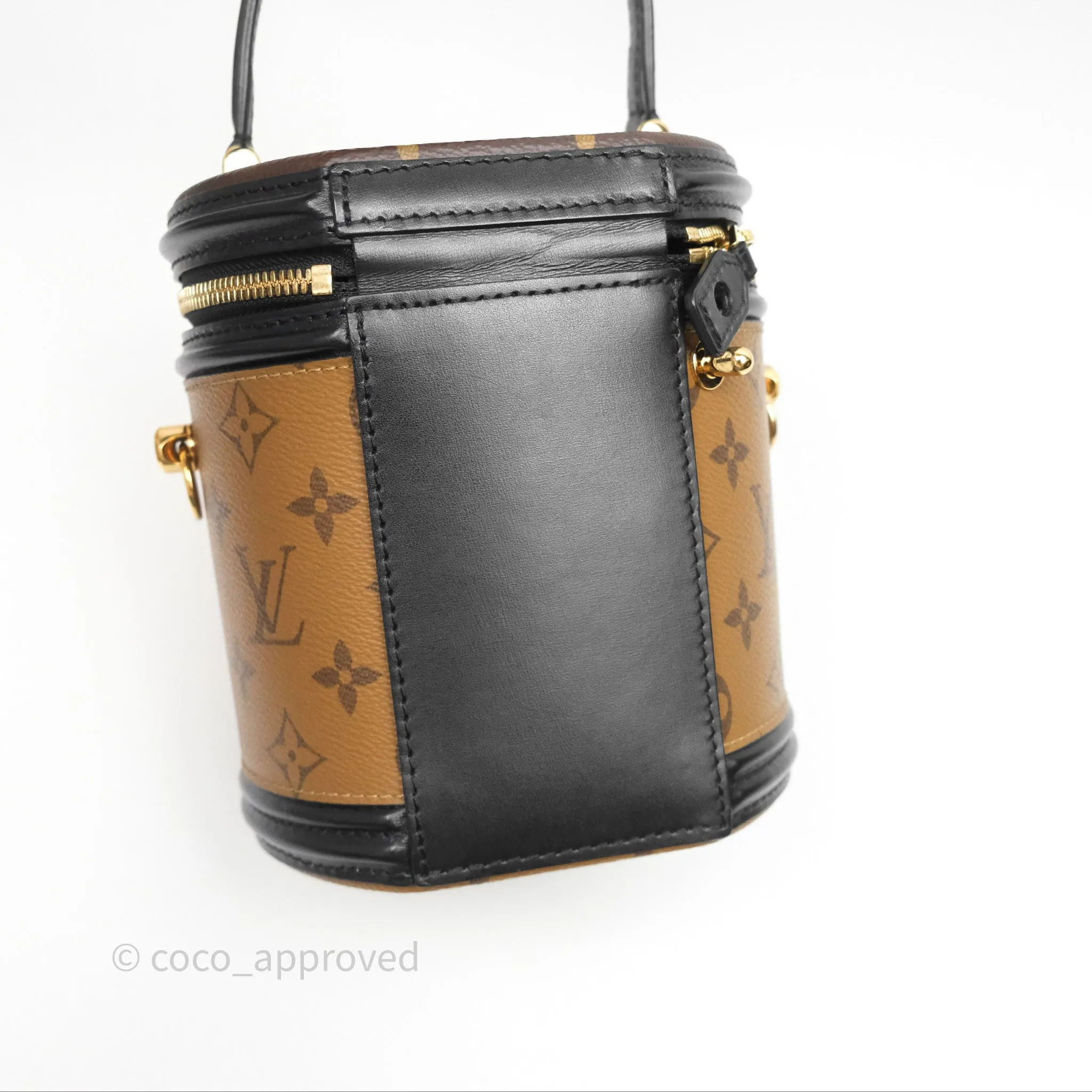 Louis Vuitton Monogram Canvas Reverse Cannes Bag