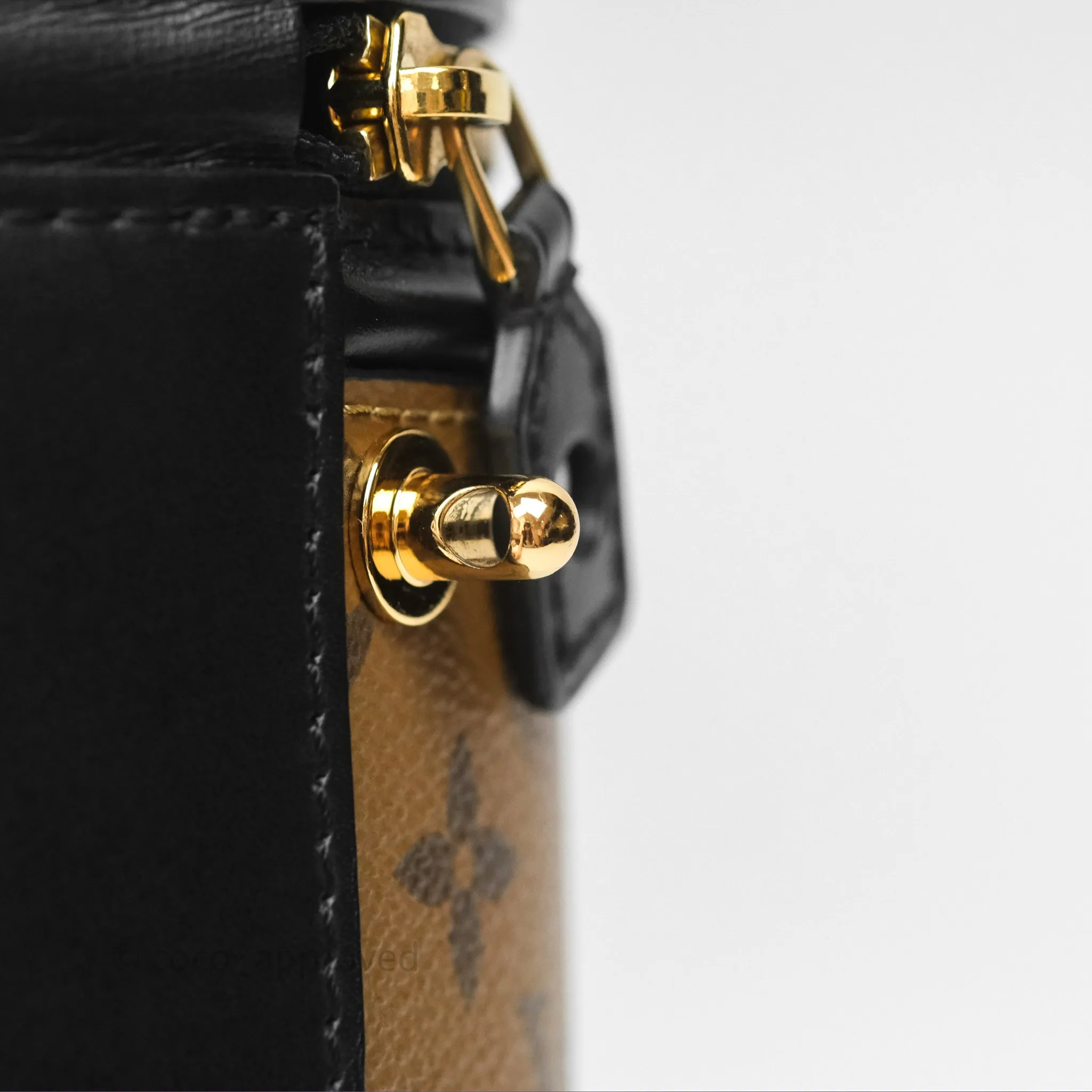 Louis Vuitton Monogram Canvas Reverse Cannes Bag