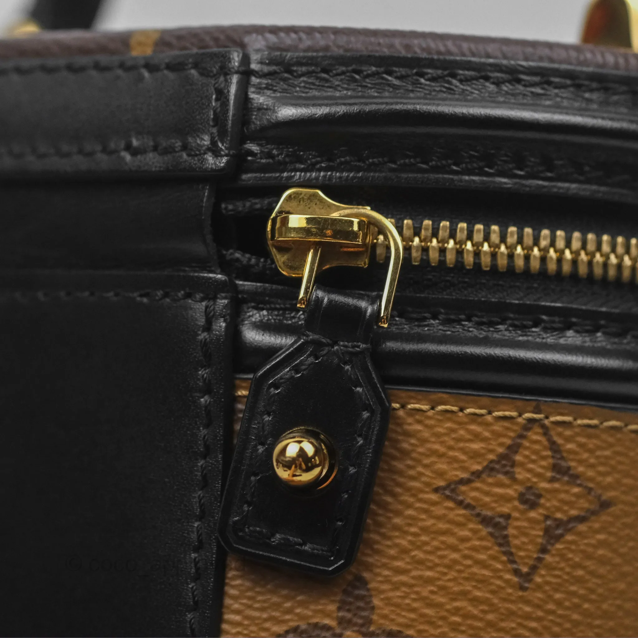 Louis Vuitton Monogram Canvas Reverse Cannes Bag