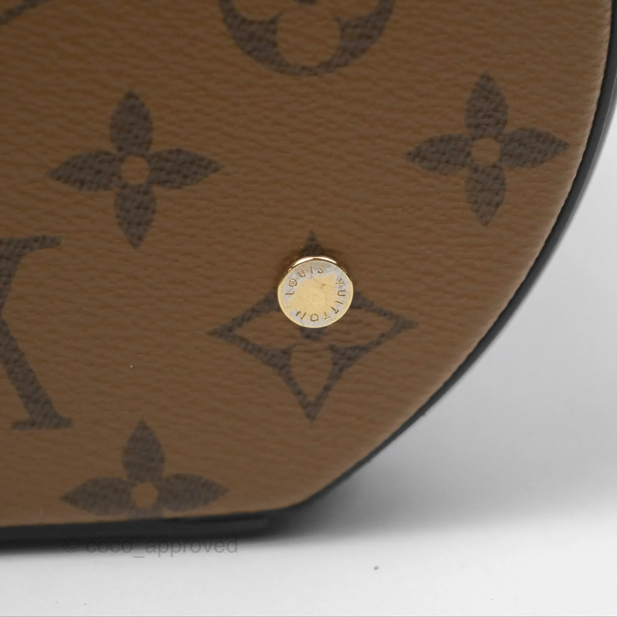 Louis Vuitton Monogram Canvas Reverse Cannes Bag