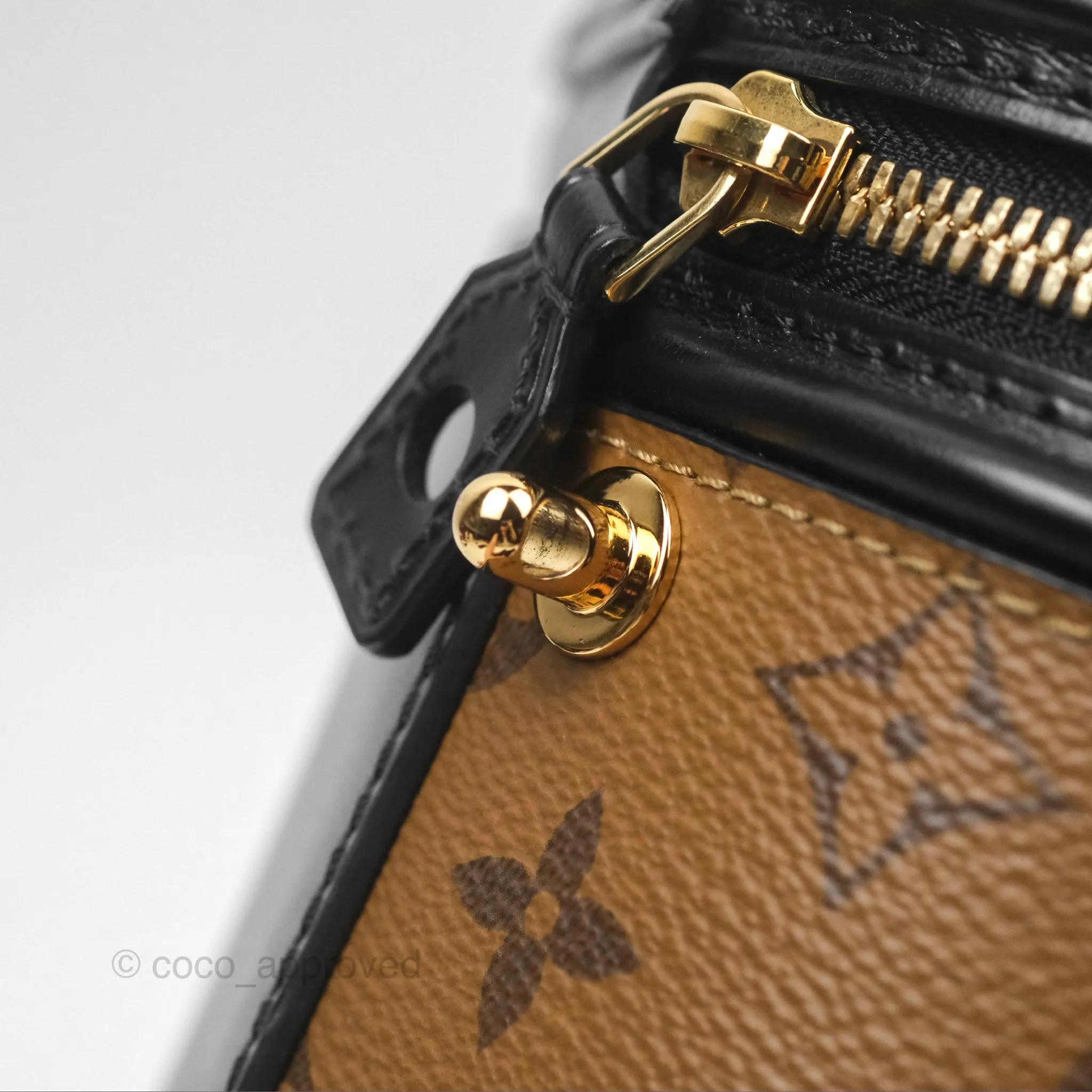 Louis Vuitton Monogram Canvas Reverse Cannes Bag