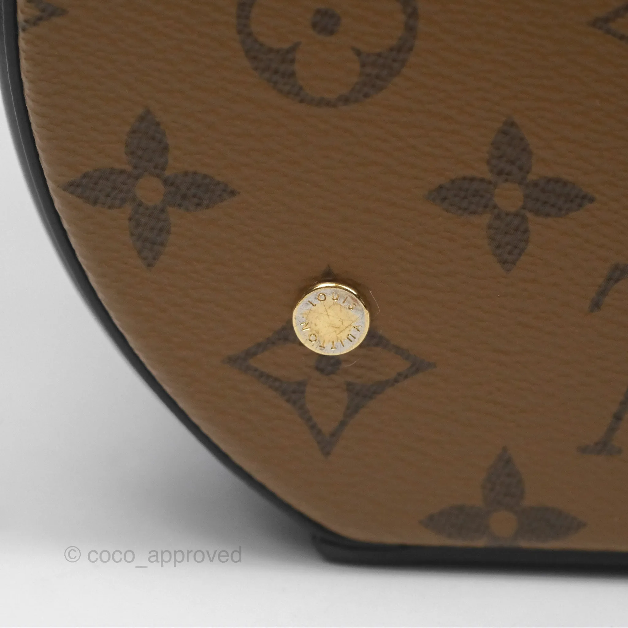Louis Vuitton Monogram Canvas Reverse Cannes Bag