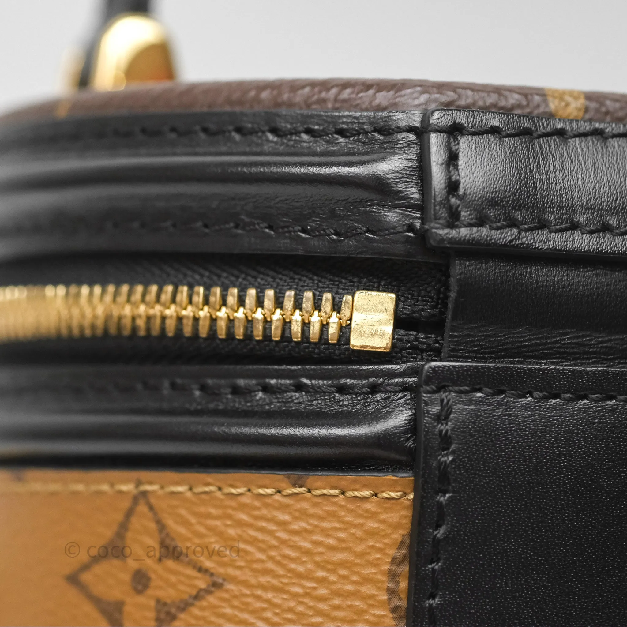 Louis Vuitton Monogram Canvas Reverse Cannes Bag