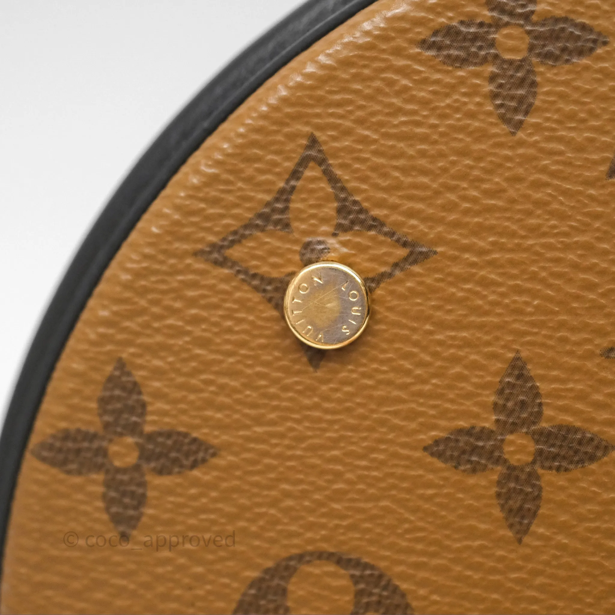 Louis Vuitton Monogram Canvas Reverse Cannes Bag