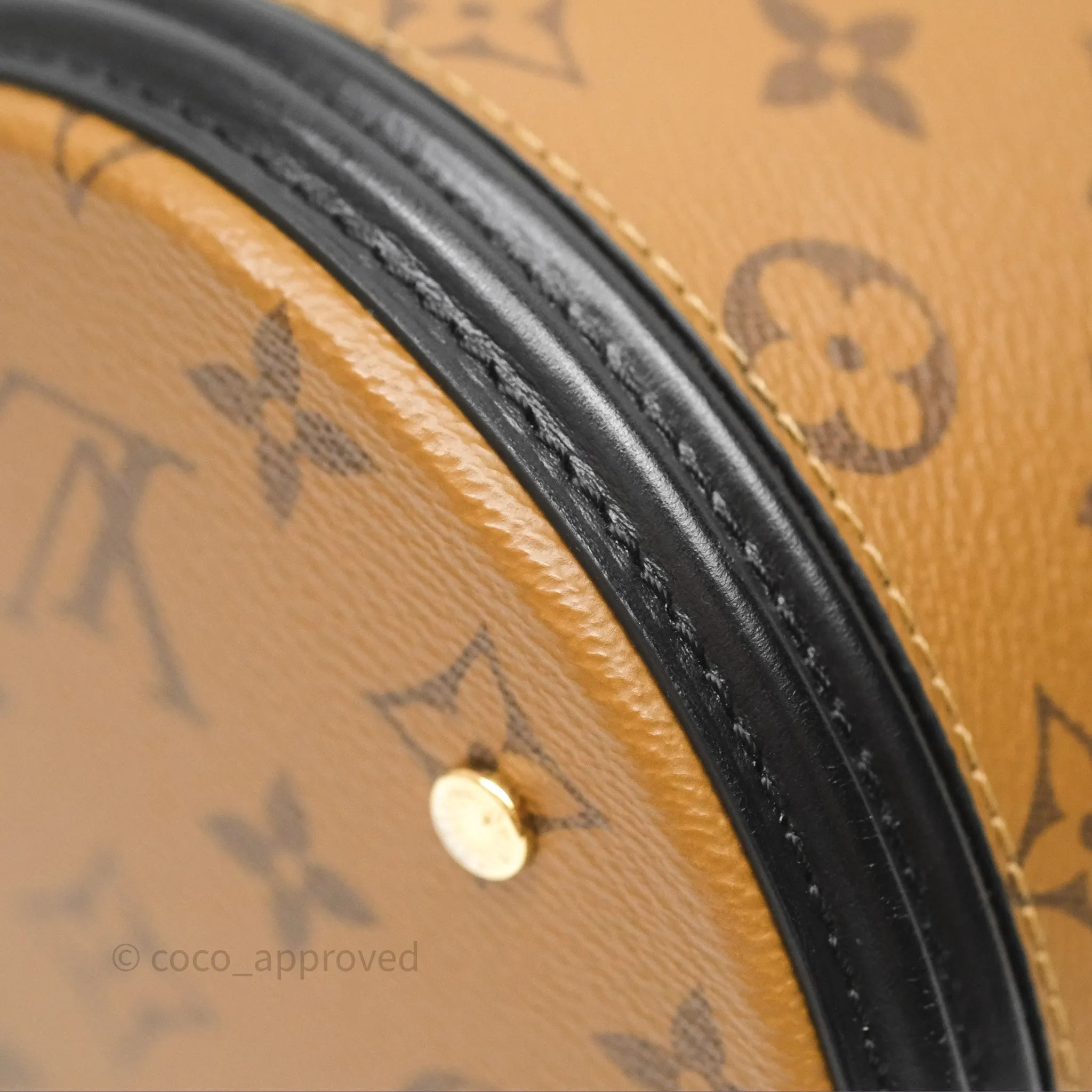 Louis Vuitton Monogram Canvas Reverse Cannes Bag