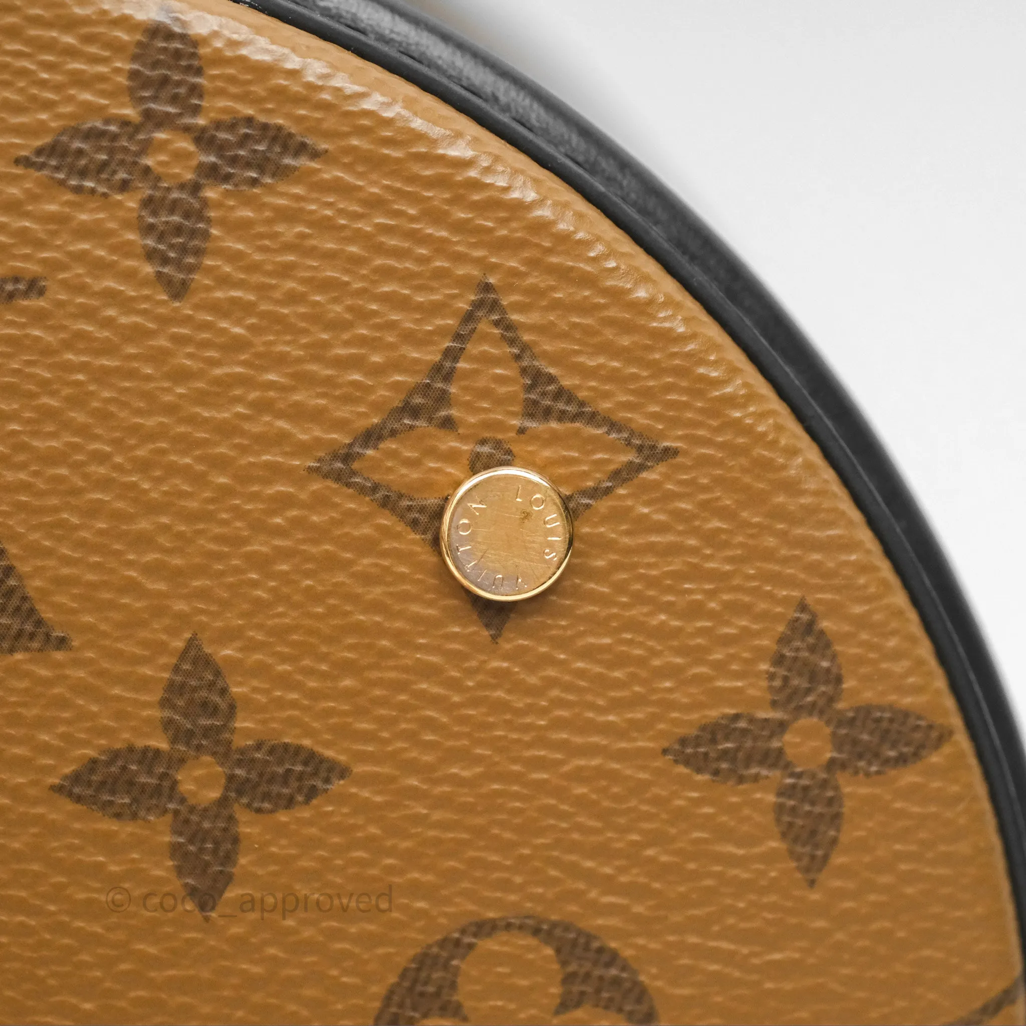 Louis Vuitton Monogram Canvas Reverse Cannes Bag