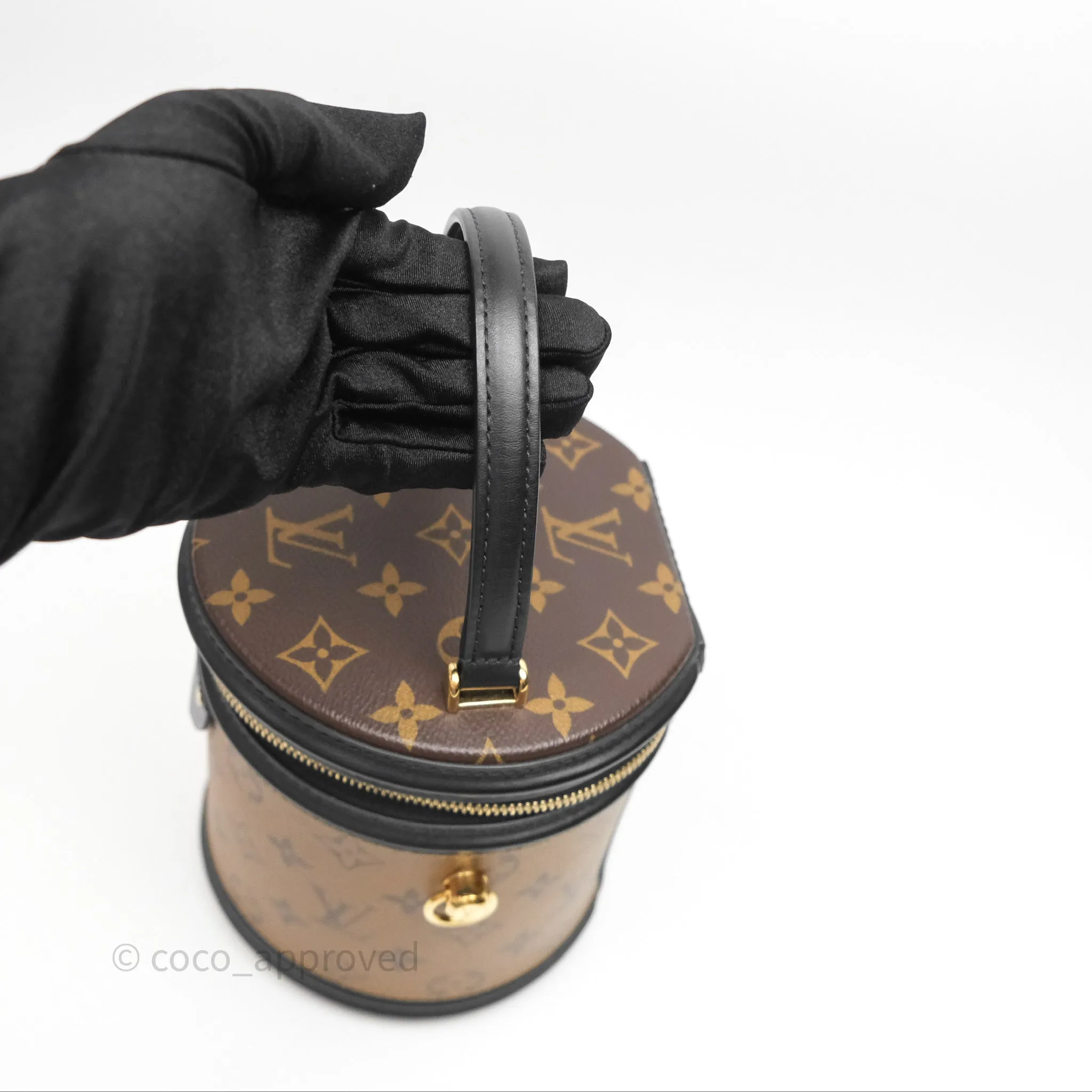 Louis Vuitton Monogram Canvas Reverse Cannes Bag