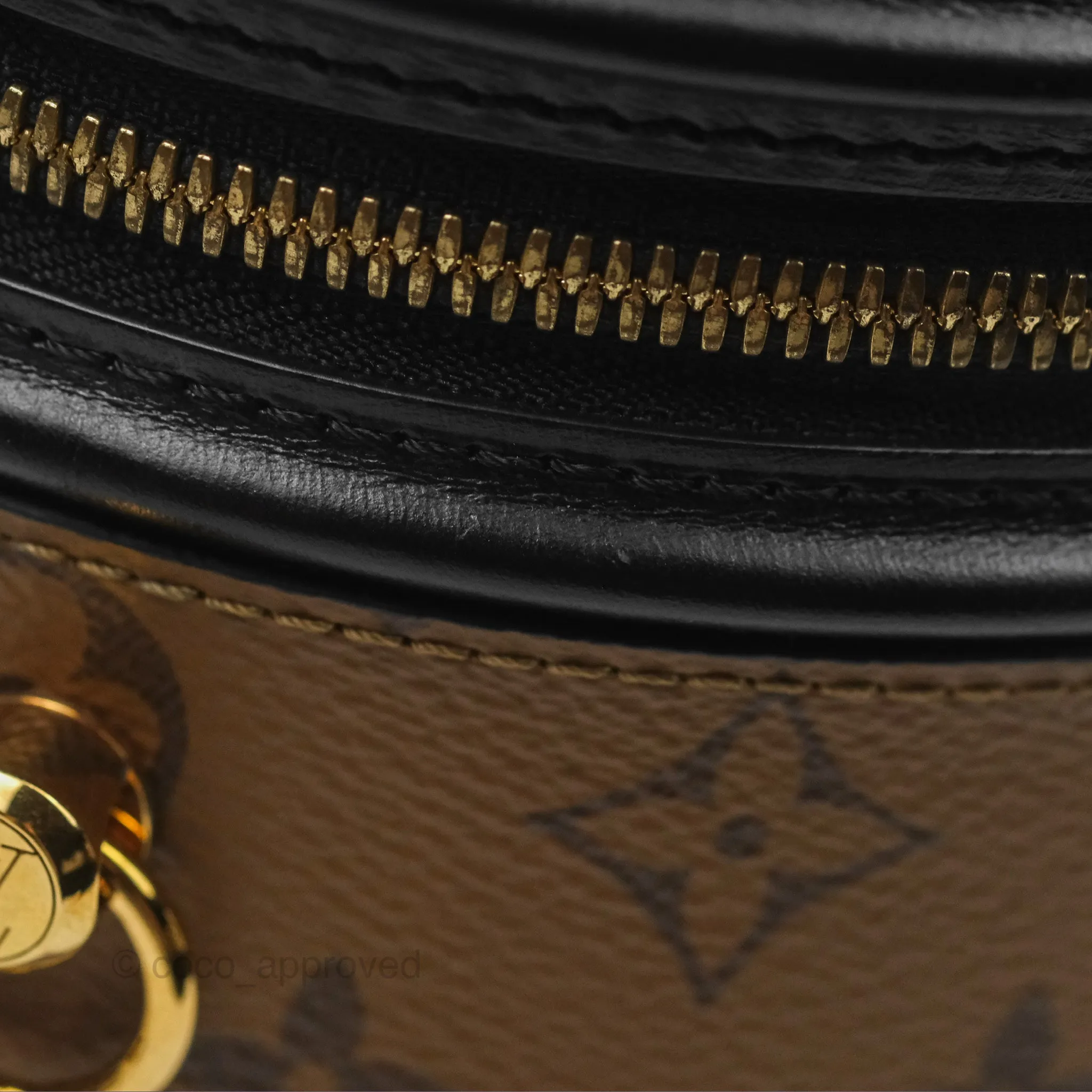 Louis Vuitton Monogram Canvas Reverse Cannes Bag