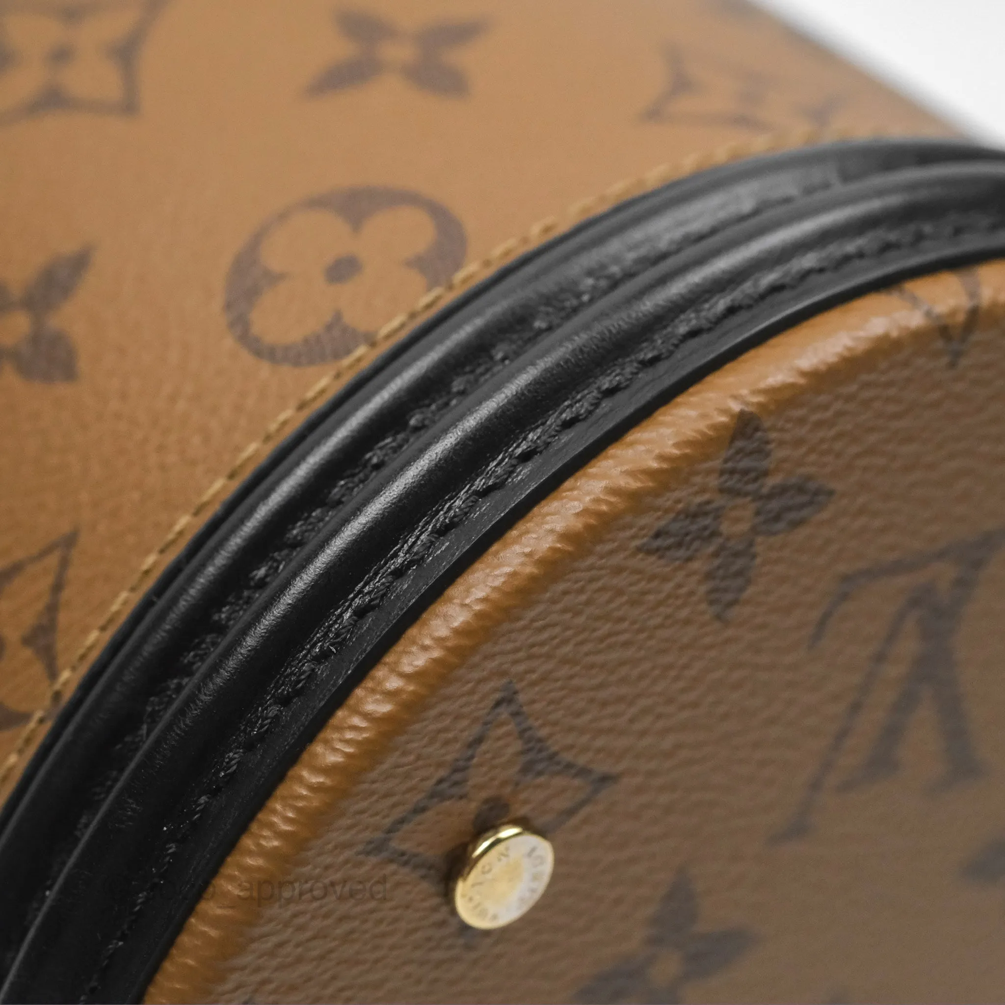 Louis Vuitton Monogram Canvas Reverse Cannes Bag