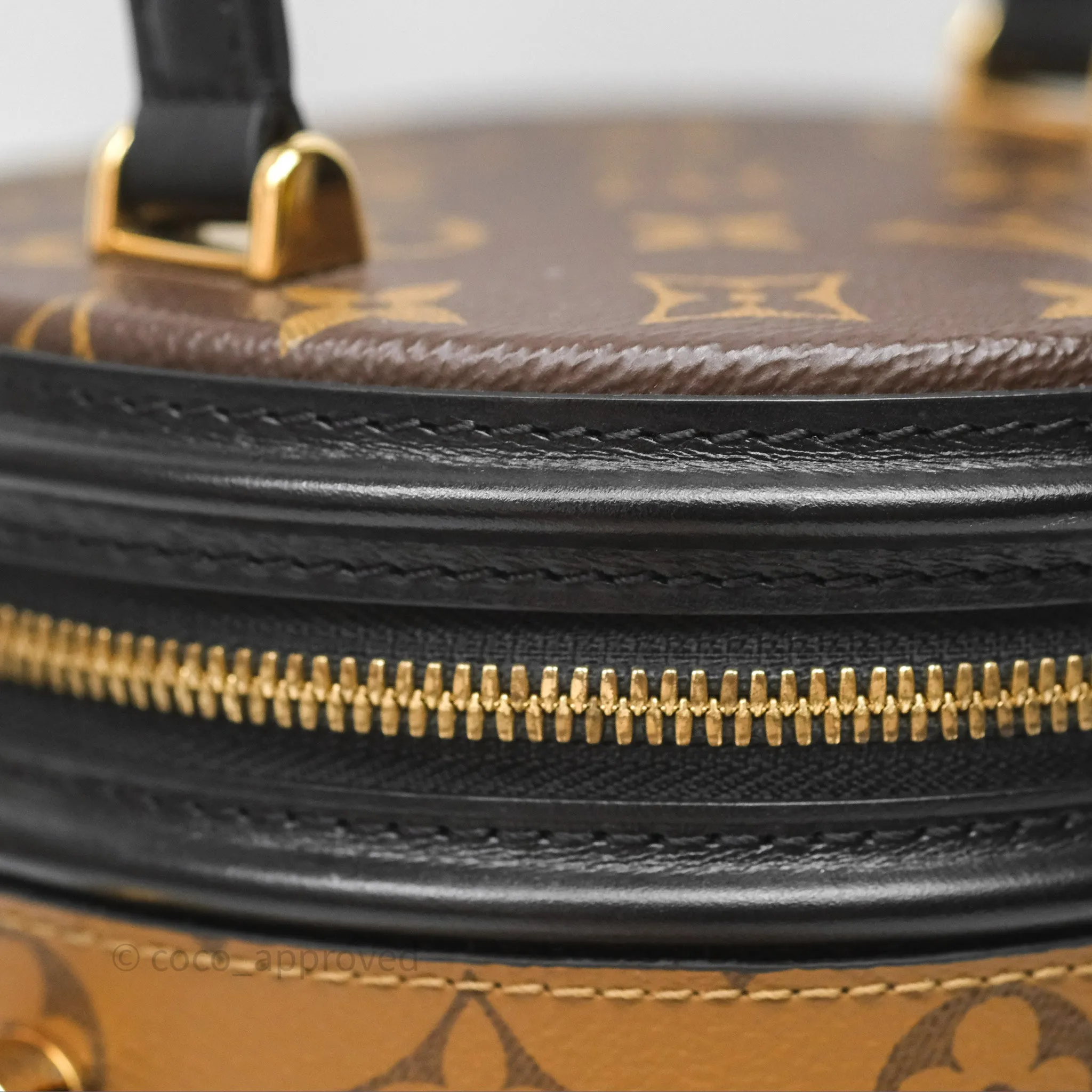 Louis Vuitton Monogram Canvas Reverse Cannes Bag