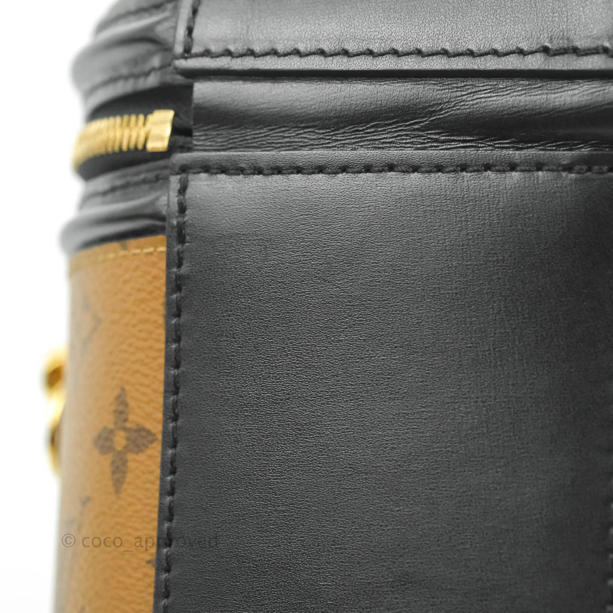 Louis Vuitton Monogram Canvas Reverse Cannes Bag