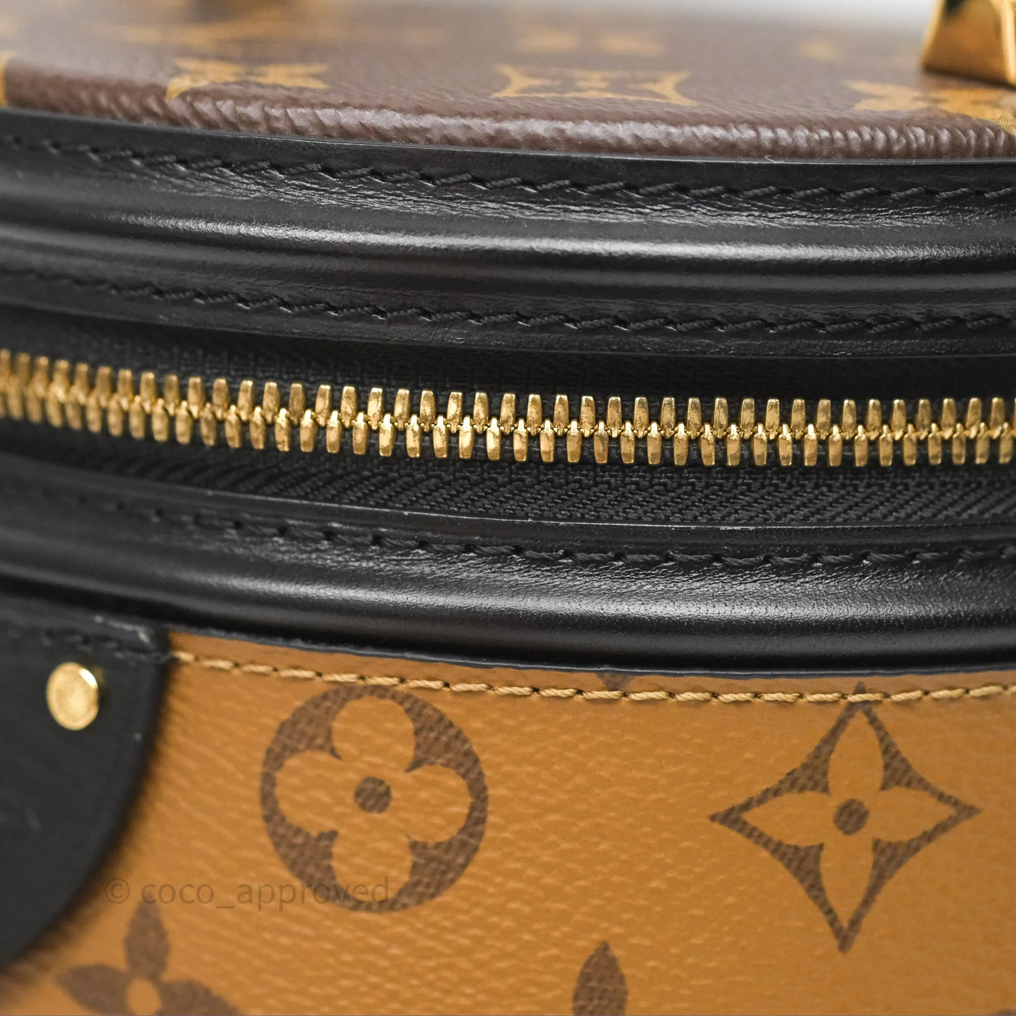 Louis Vuitton Monogram Canvas Reverse Cannes Bag