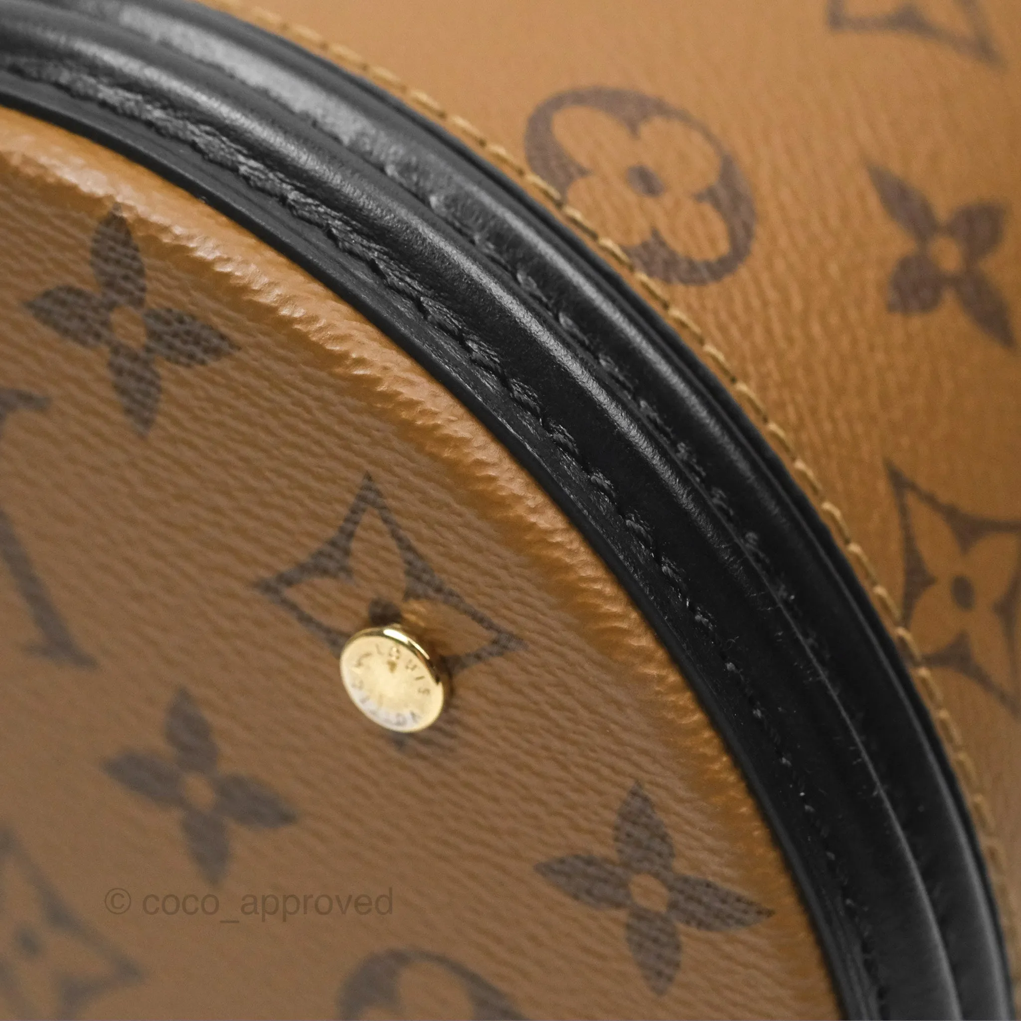 Louis Vuitton Monogram Canvas Reverse Cannes Bag