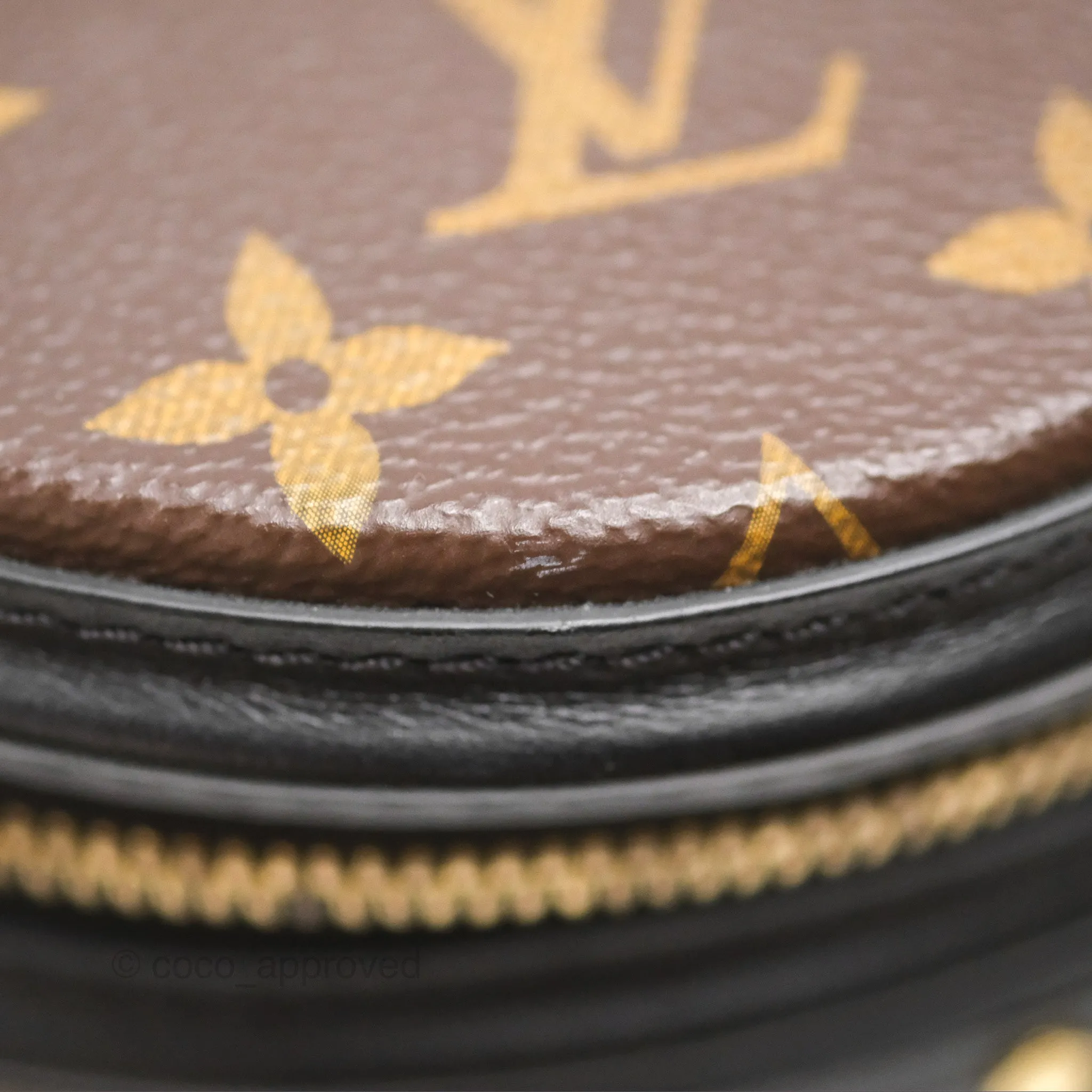 Louis Vuitton Monogram Canvas Reverse Cannes Bag