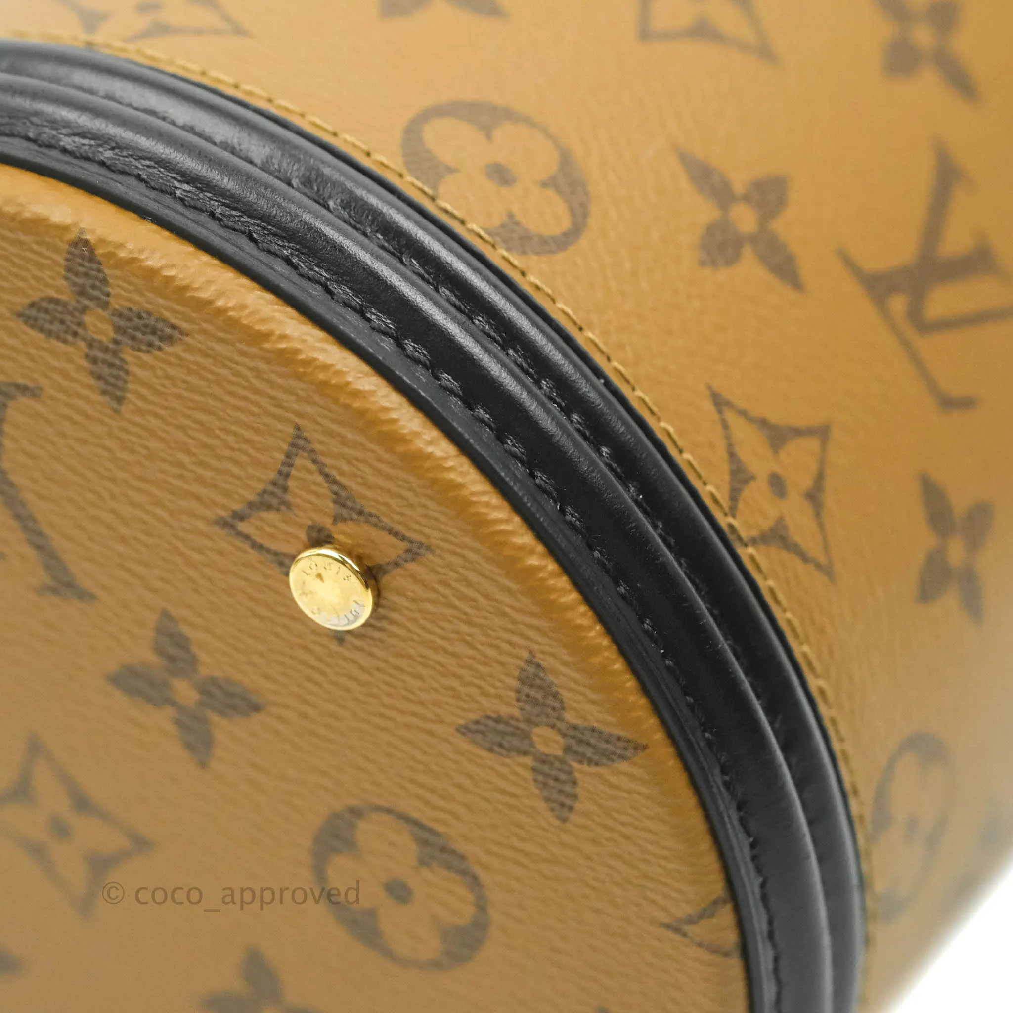 Louis Vuitton Monogram Canvas Reverse Cannes Bag