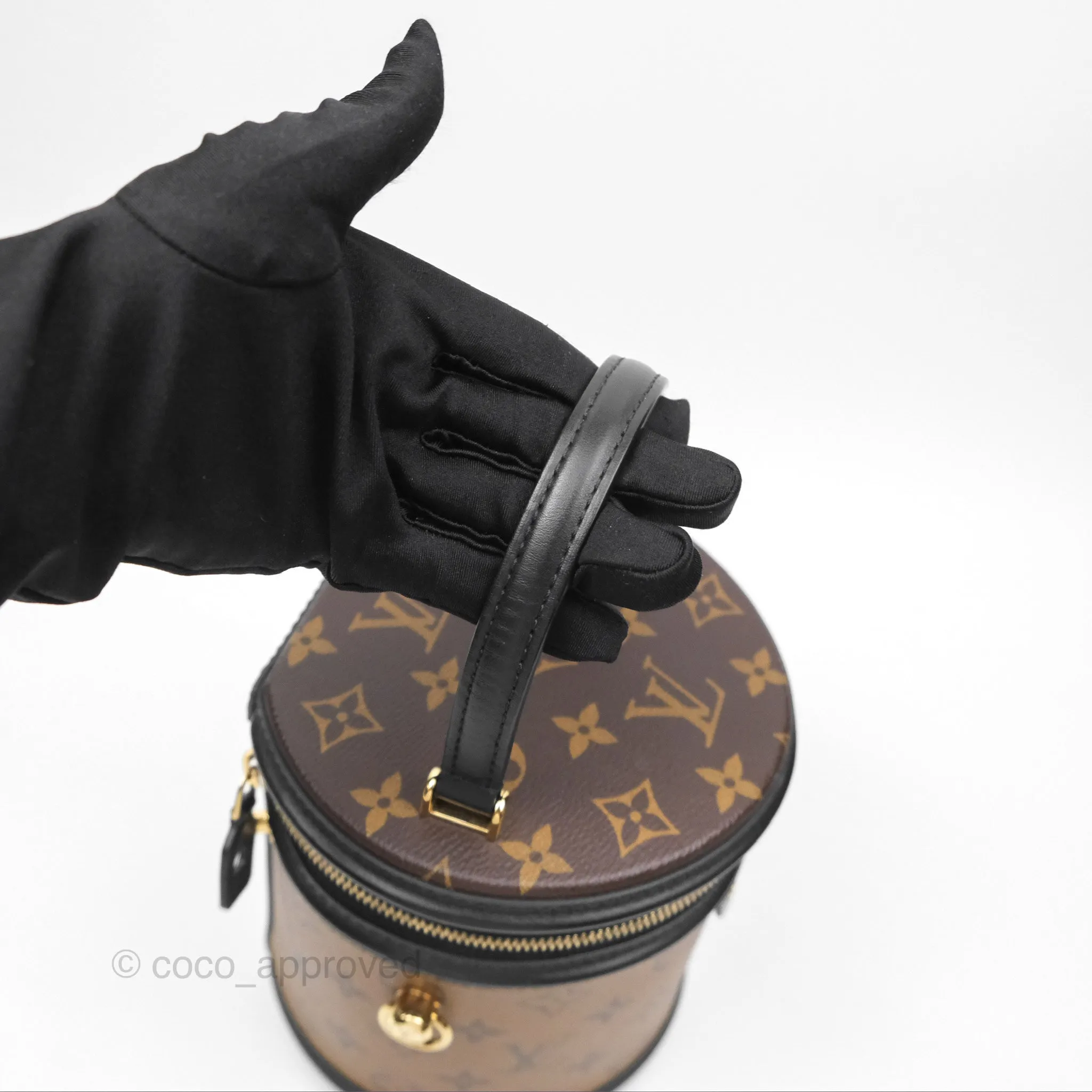 Louis Vuitton Monogram Canvas Reverse Cannes Bag