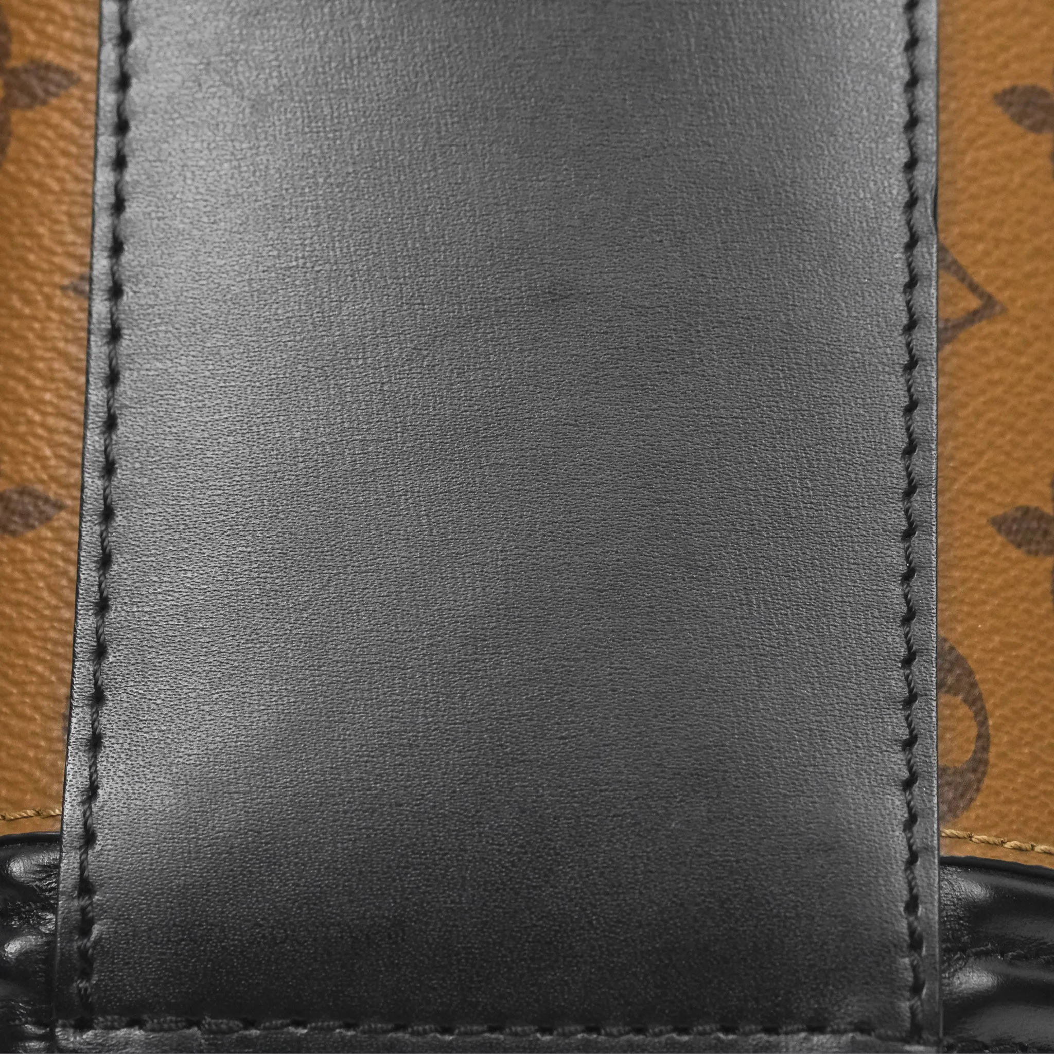 Louis Vuitton Monogram Canvas Reverse Cannes Bag