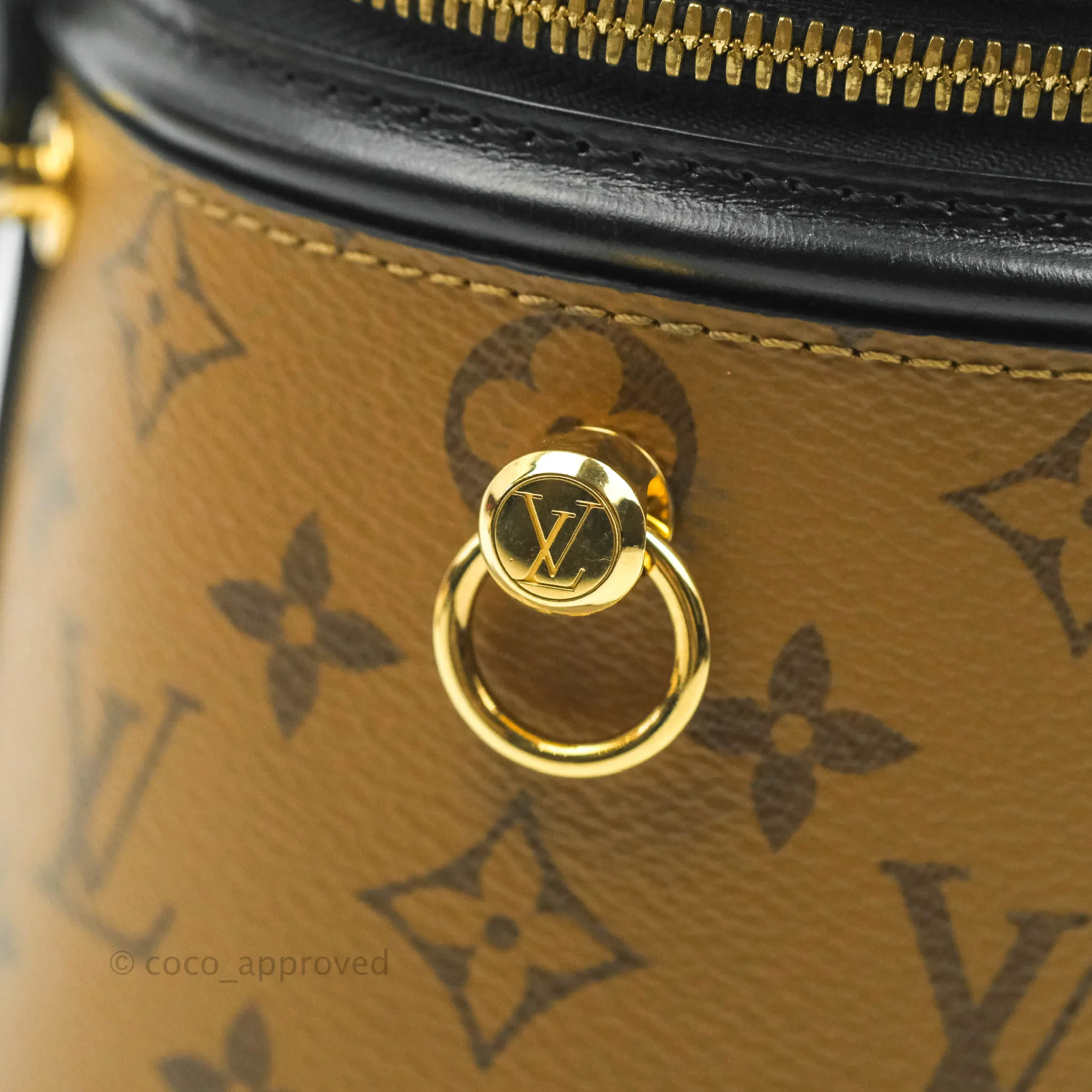 Louis Vuitton Monogram Canvas Reverse Cannes Bag