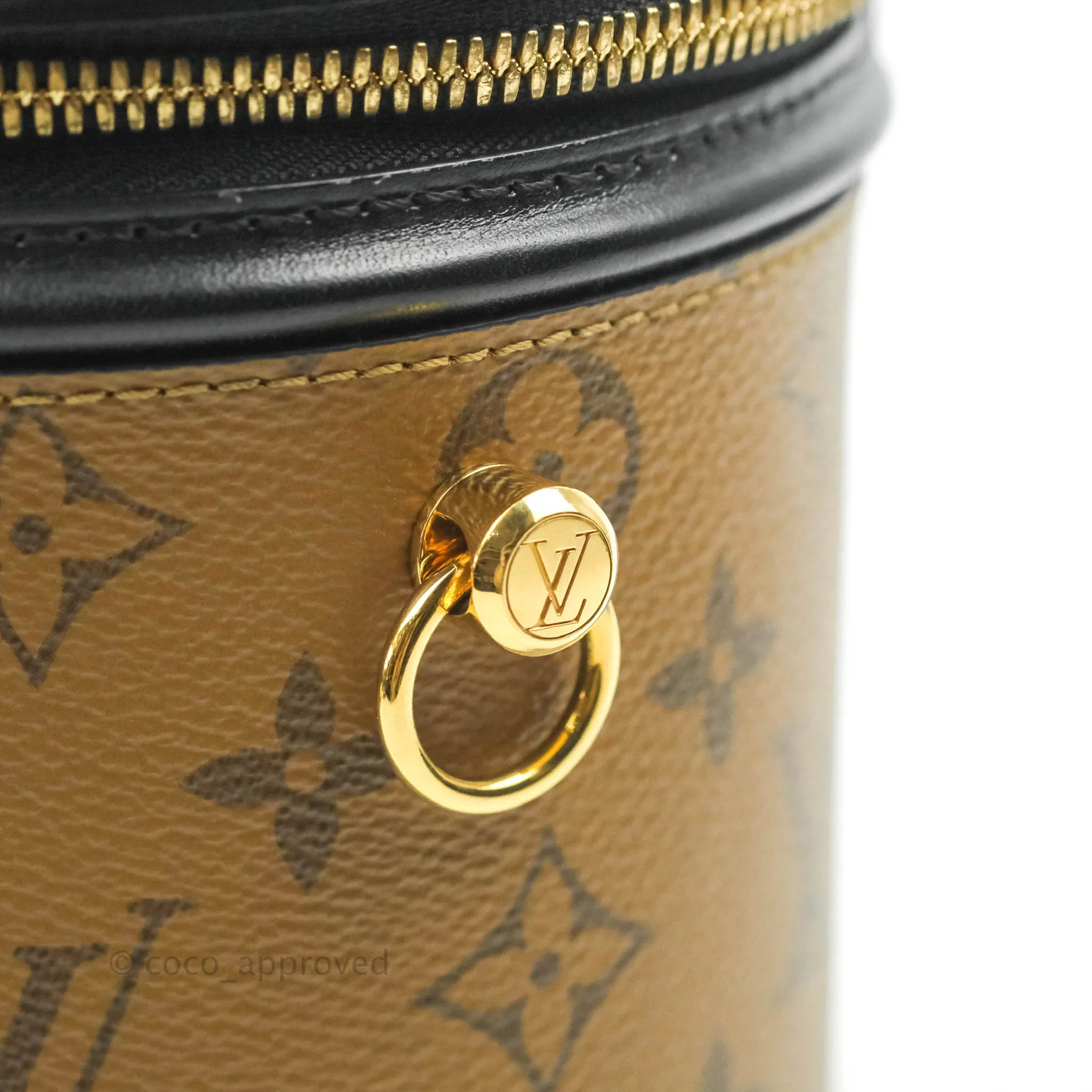 Louis Vuitton Monogram Canvas Reverse Cannes Bag