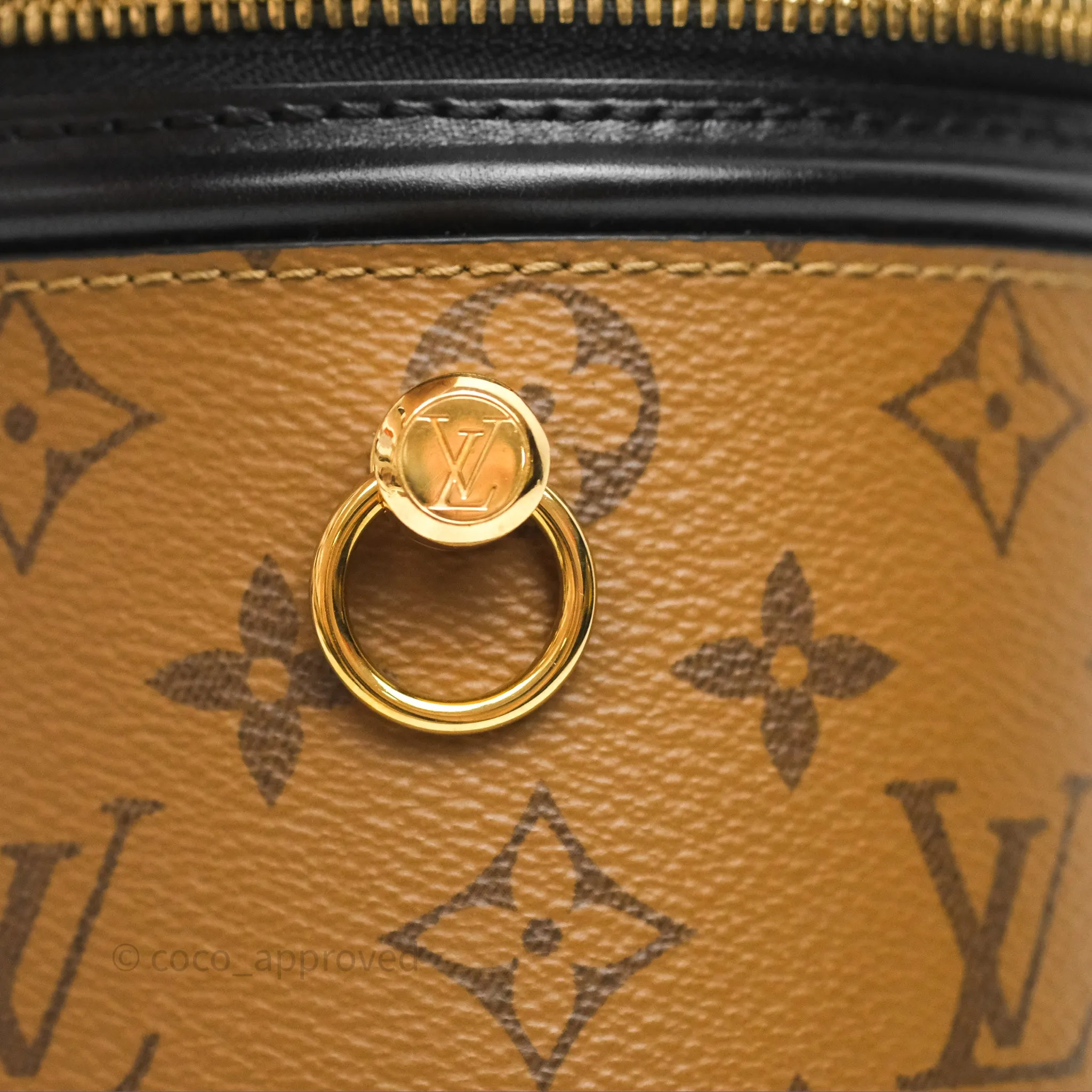 Louis Vuitton Monogram Canvas Reverse Cannes Bag