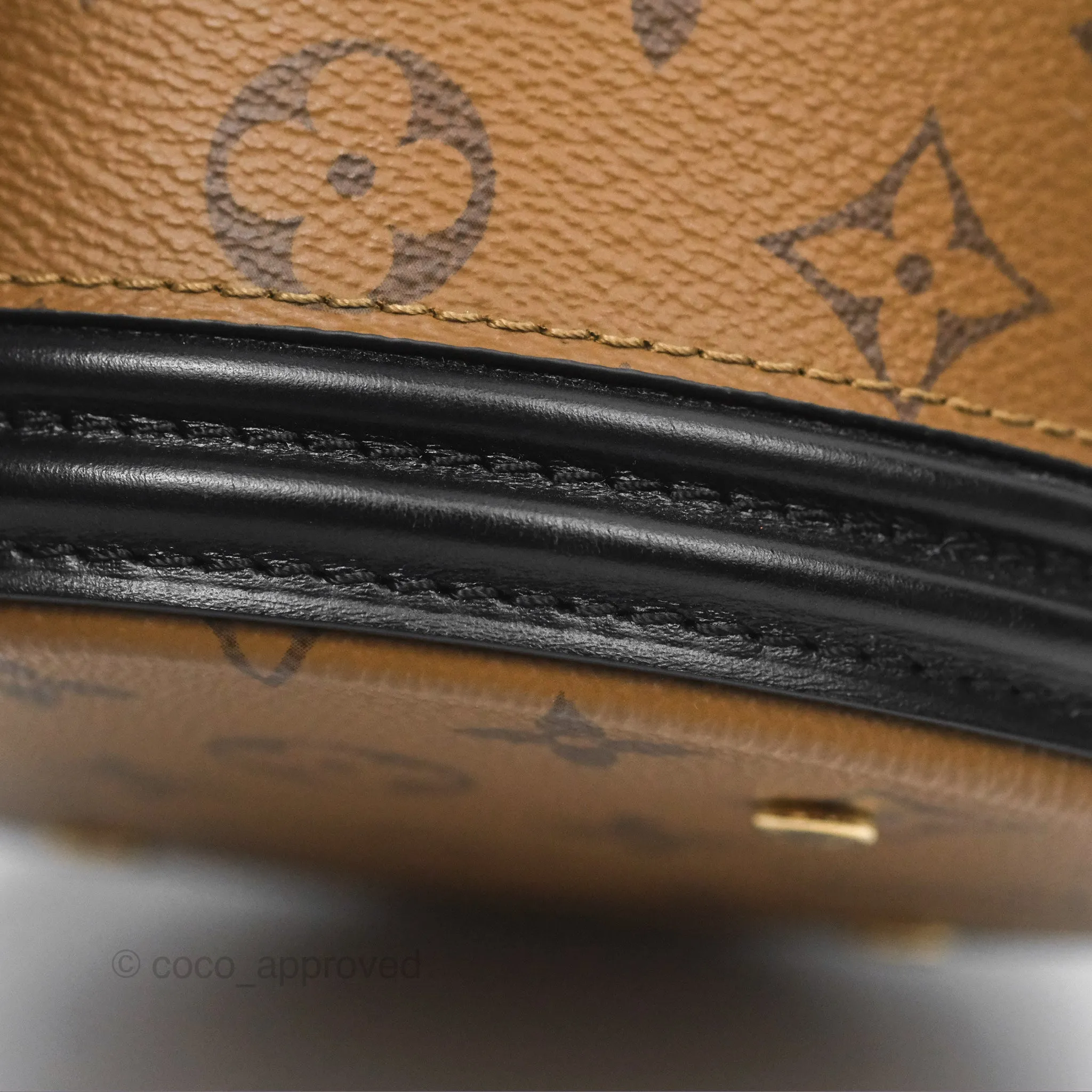 Louis Vuitton Monogram Canvas Reverse Cannes Bag