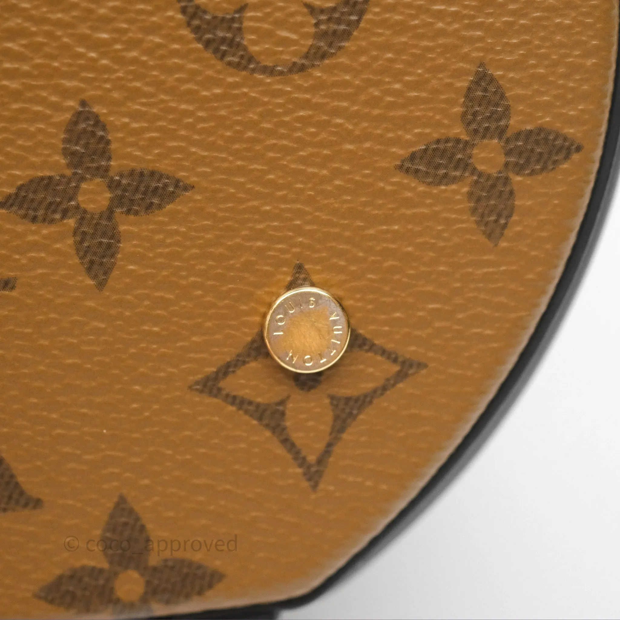 Louis Vuitton Monogram Canvas Reverse Cannes Bag