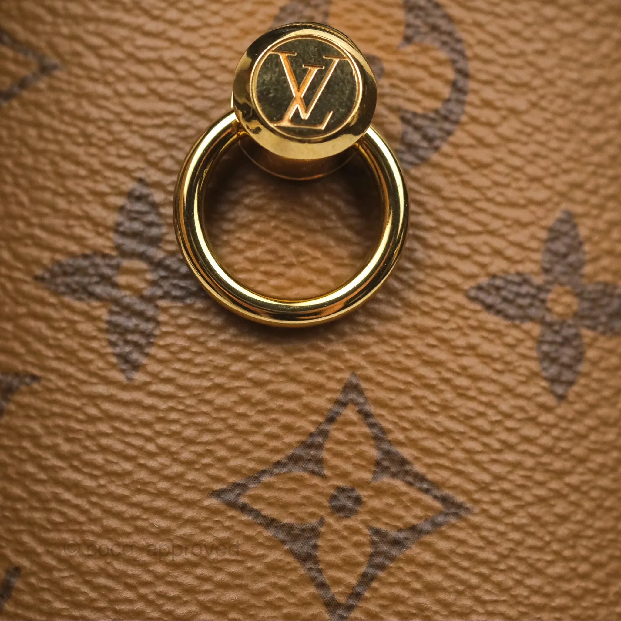 Louis Vuitton Monogram Canvas Reverse Cannes Bag