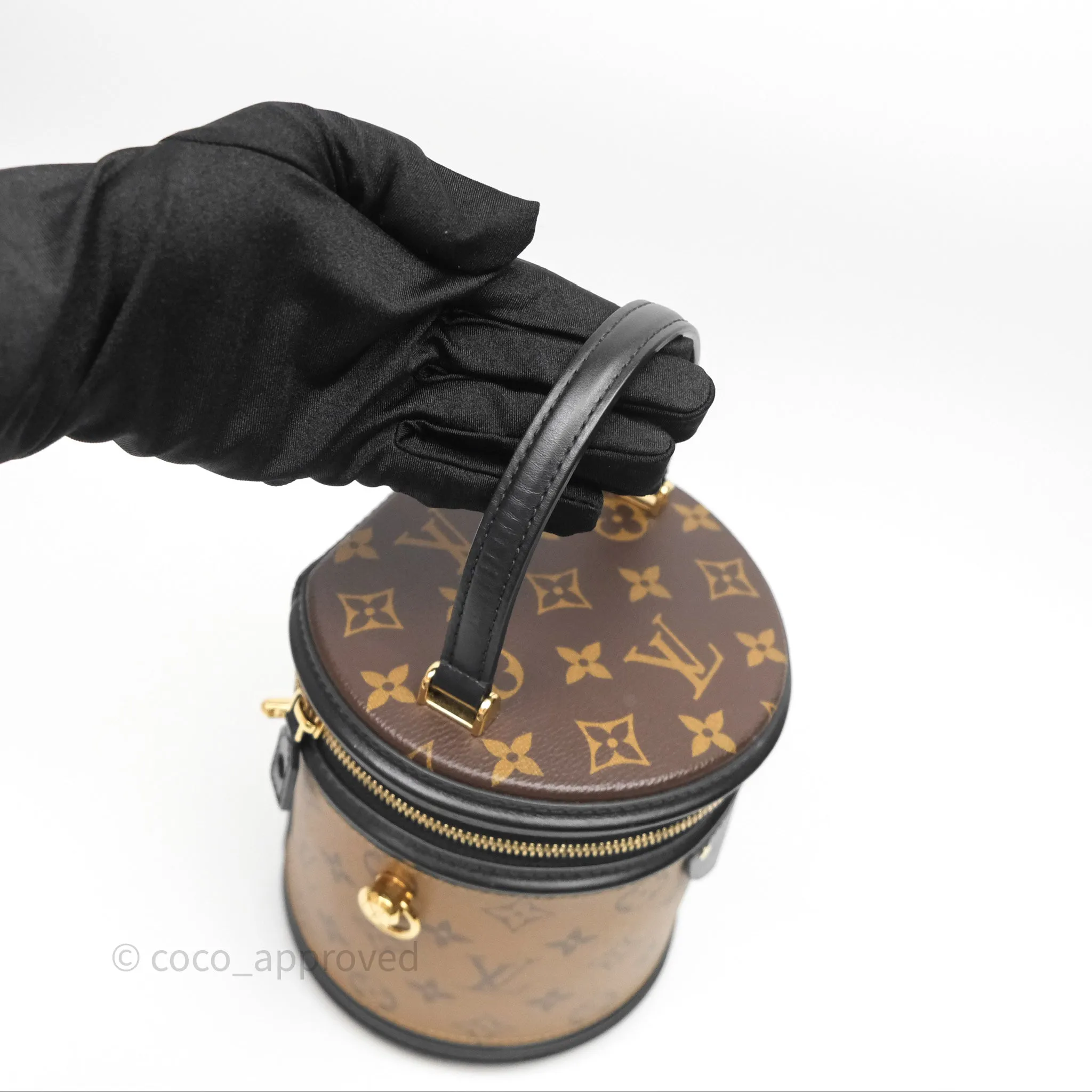 Louis Vuitton Monogram Canvas Reverse Cannes Bag