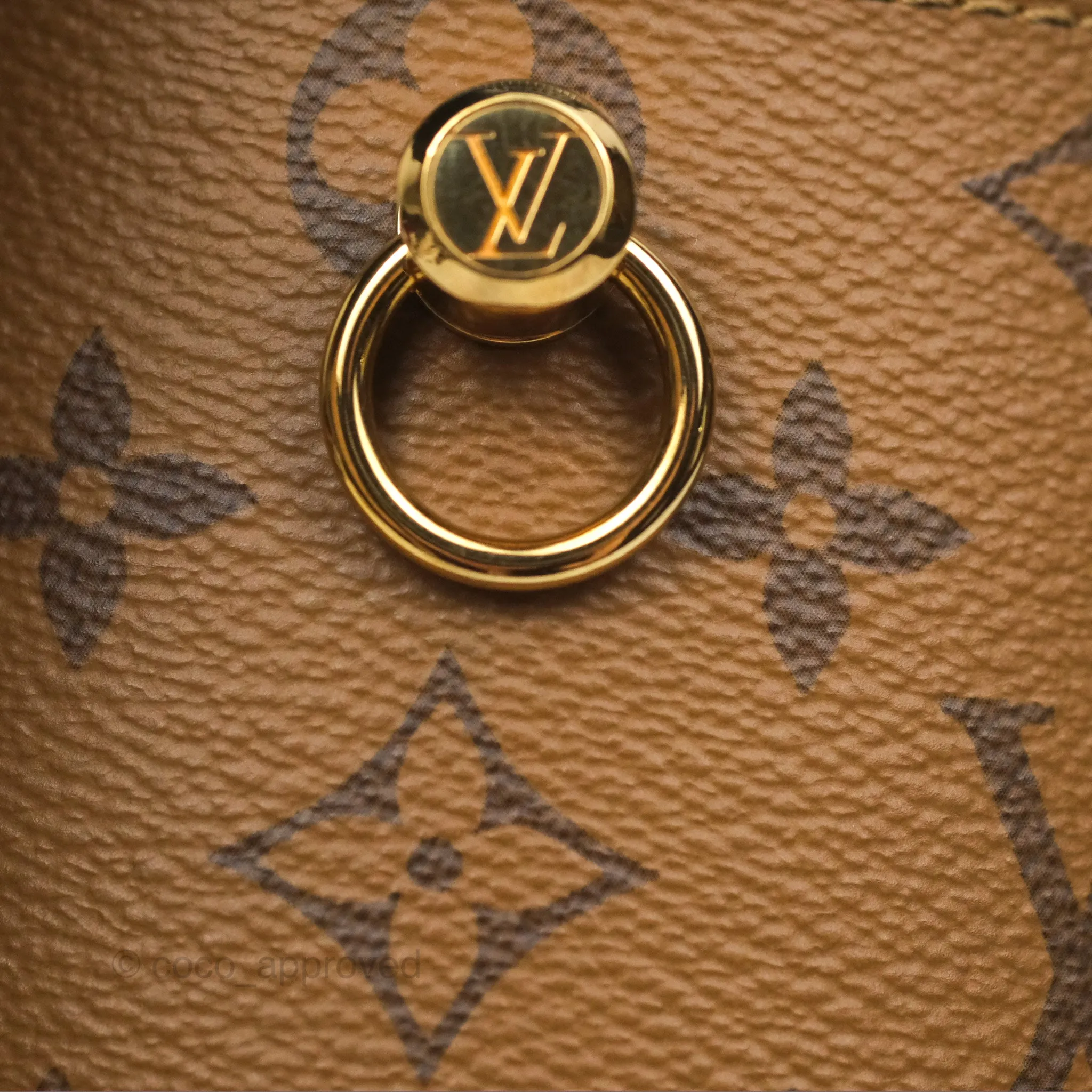Louis Vuitton Monogram Canvas Reverse Cannes Bag