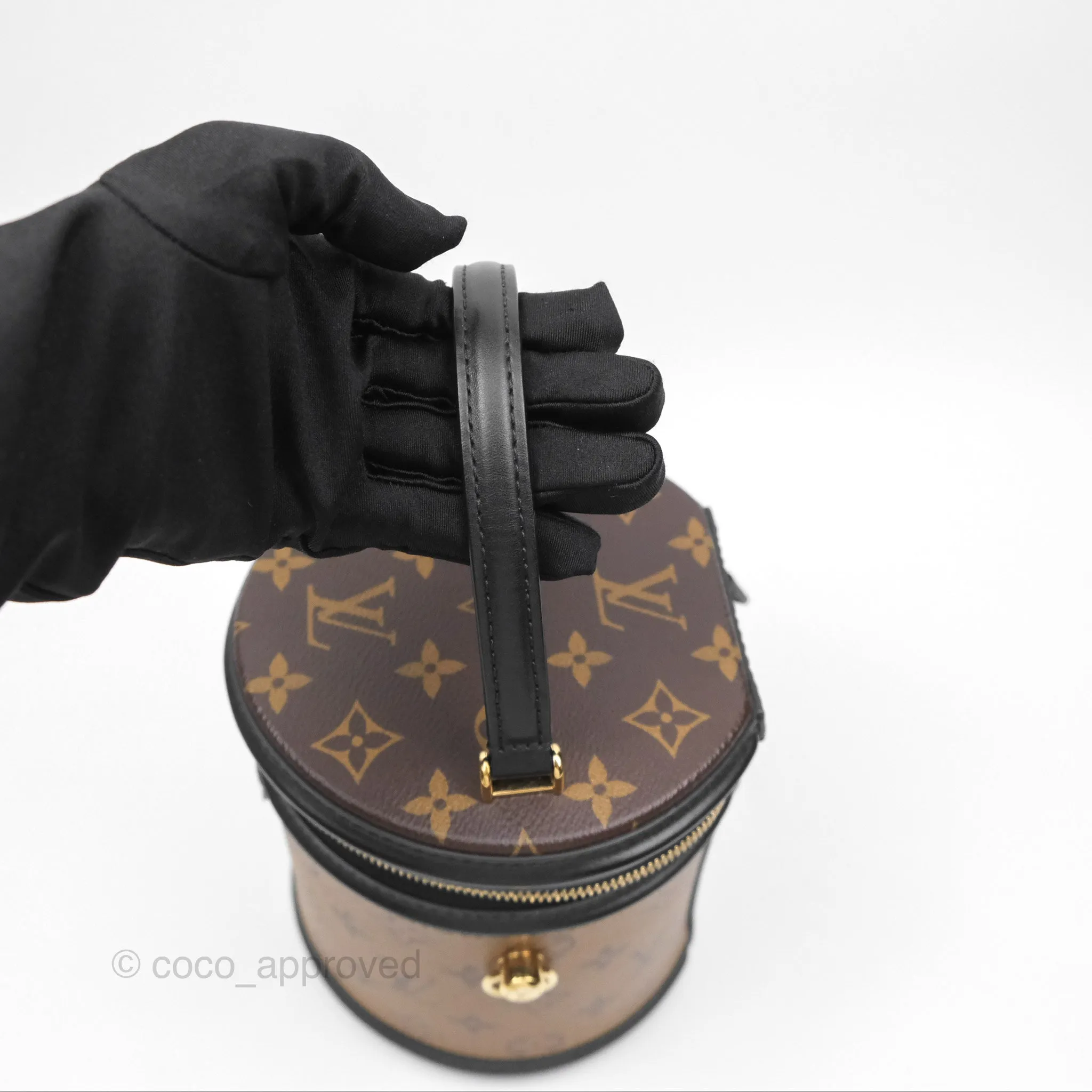 Louis Vuitton Monogram Canvas Reverse Cannes Bag