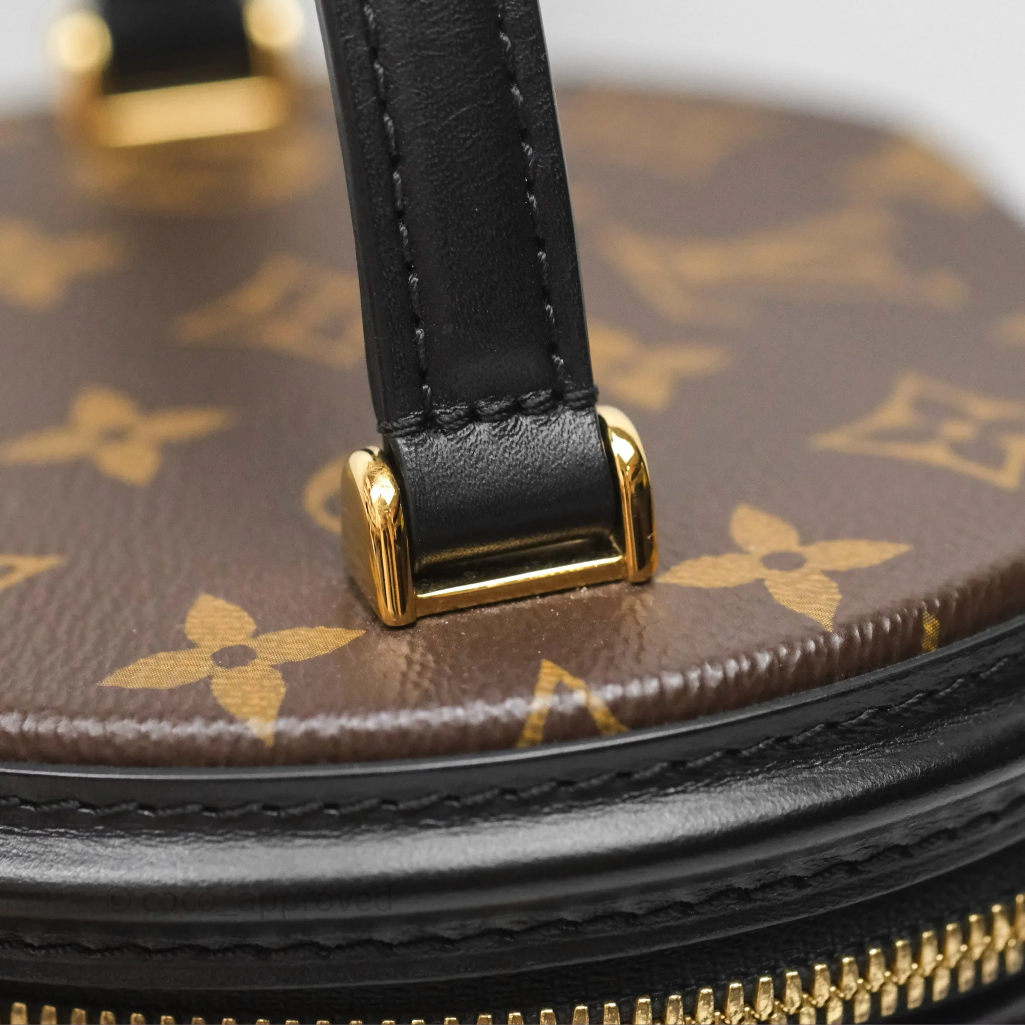 Louis Vuitton Monogram Canvas Reverse Cannes Bag