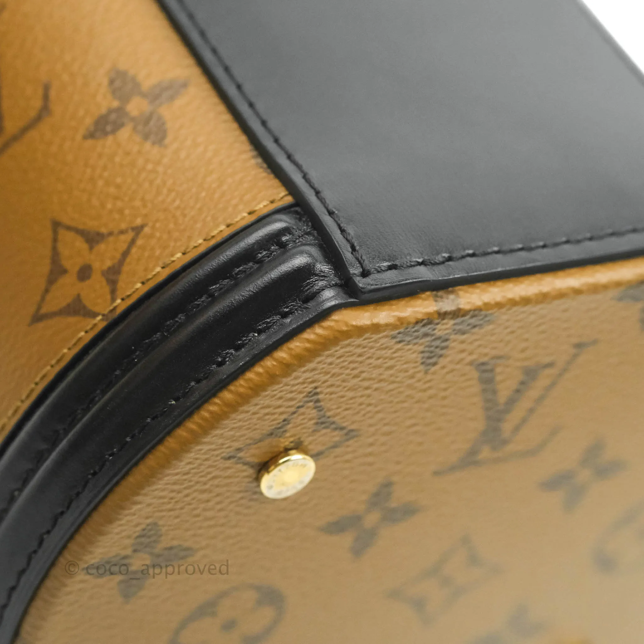 Louis Vuitton Monogram Canvas Reverse Cannes Bag