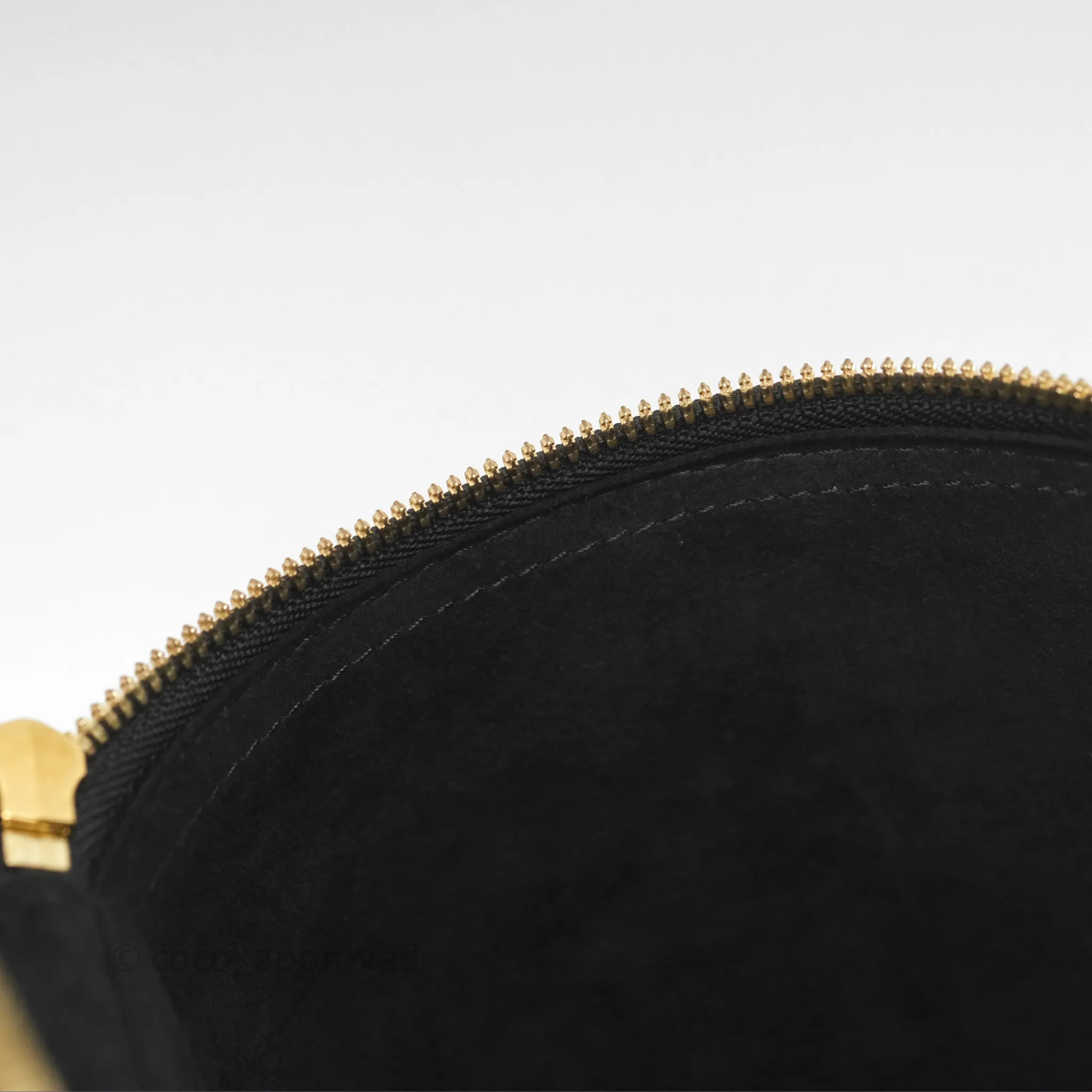 Louis Vuitton Monogram Canvas Reverse Cannes Bag