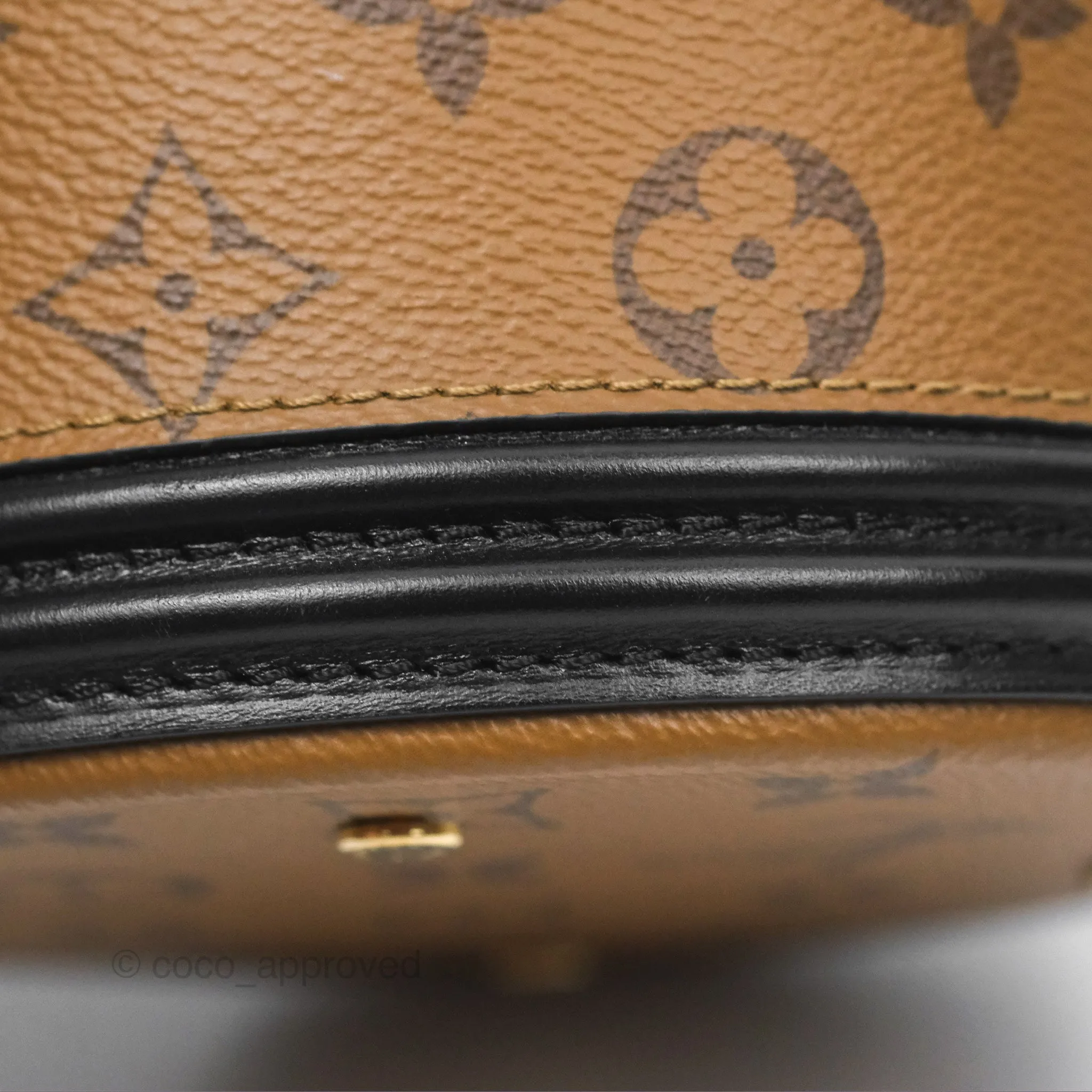 Louis Vuitton Monogram Canvas Reverse Cannes Bag