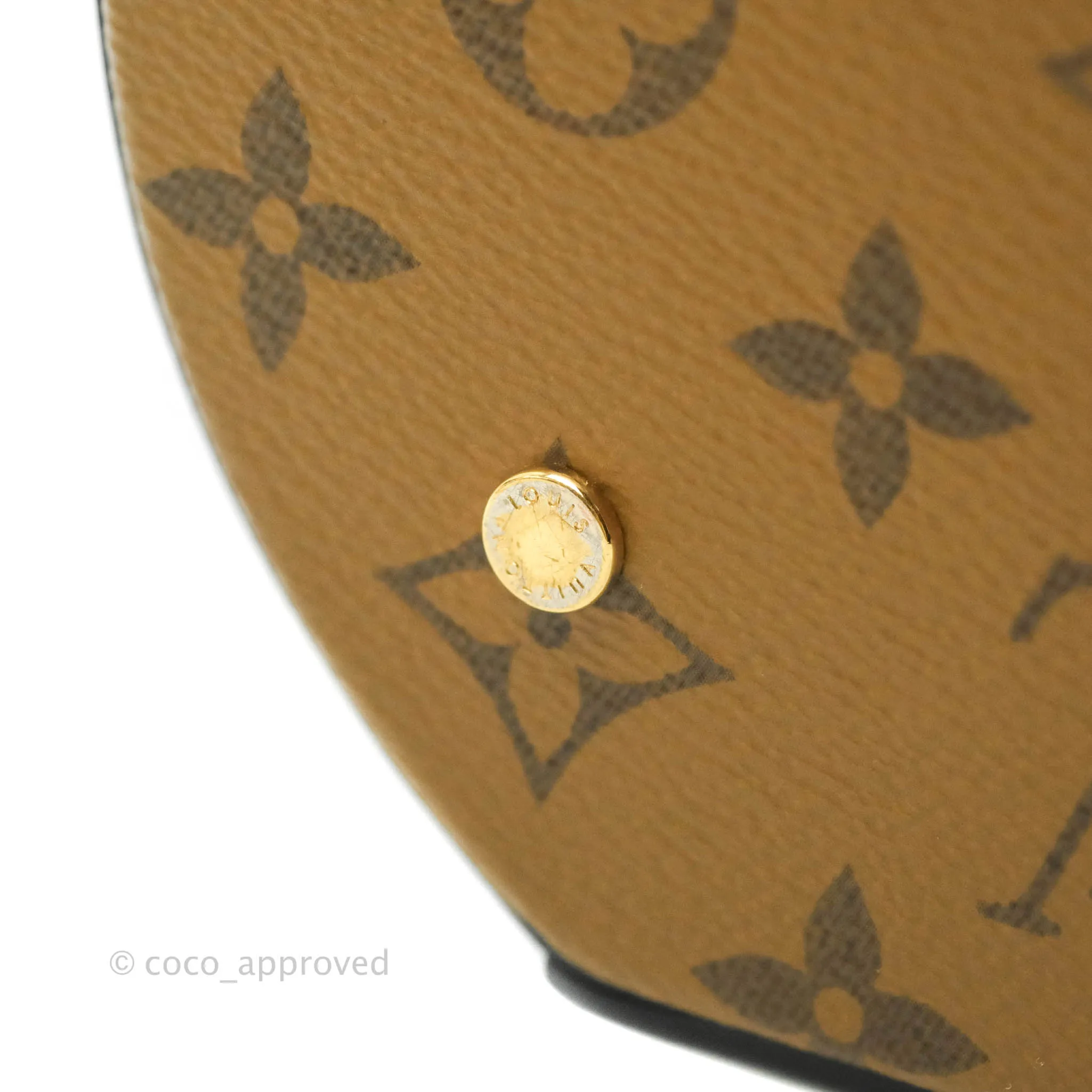 Louis Vuitton Monogram Canvas Reverse Cannes Bag