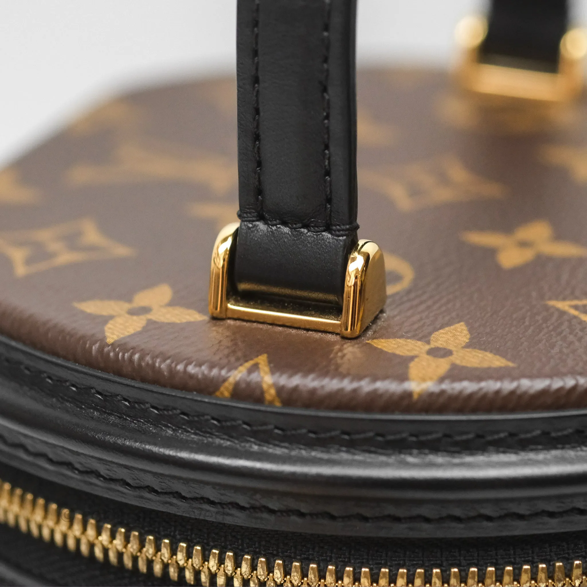 Louis Vuitton Monogram Canvas Reverse Cannes Bag