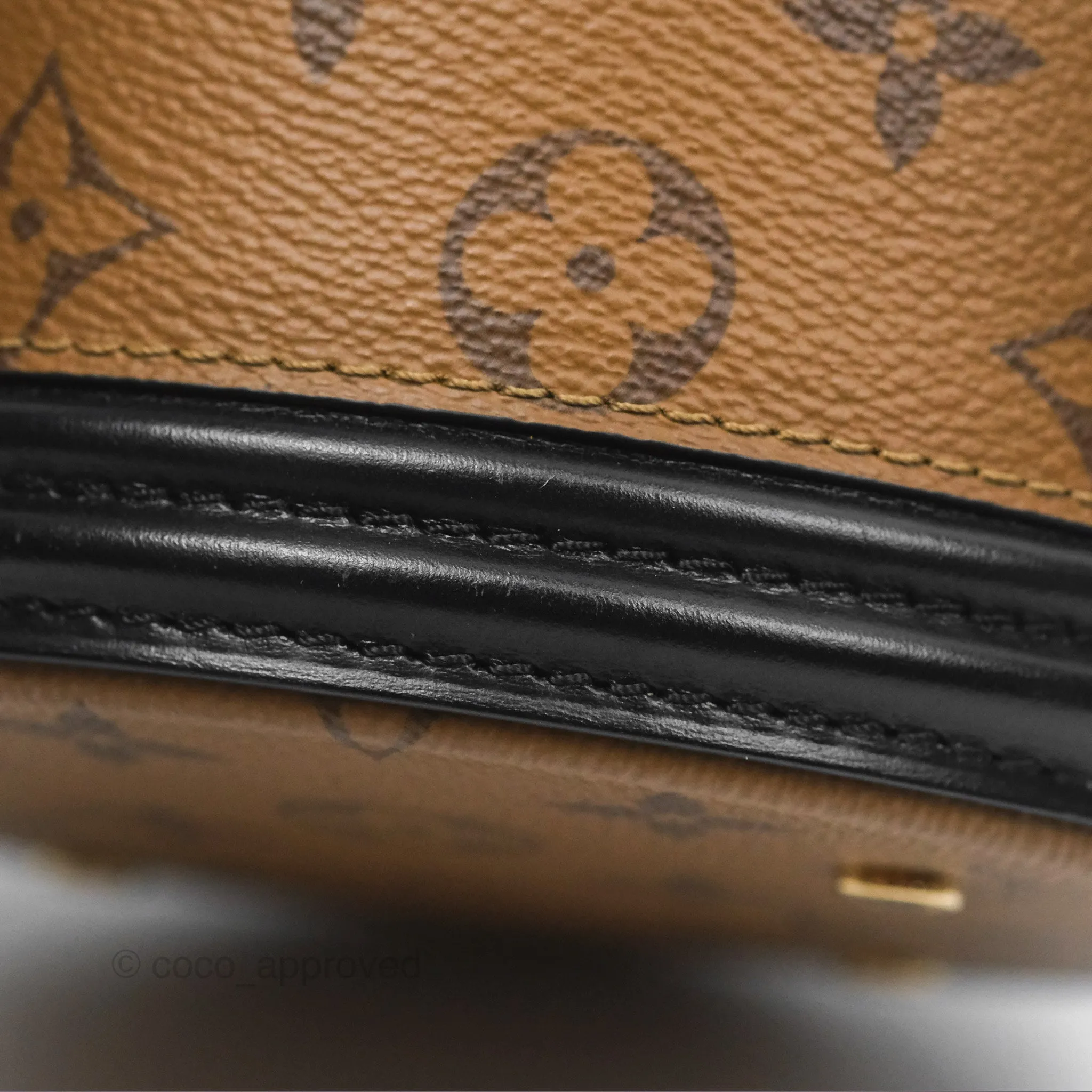 Louis Vuitton Monogram Canvas Reverse Cannes Bag