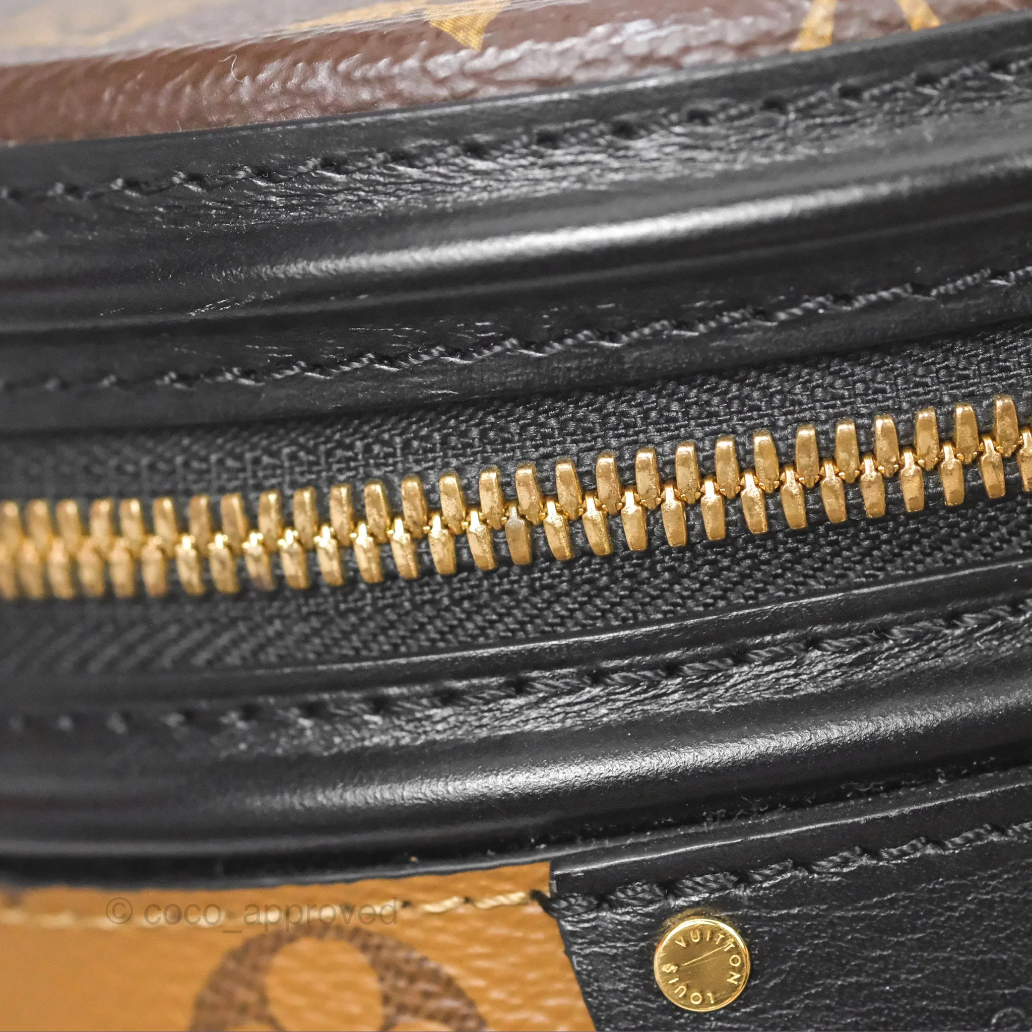 Louis Vuitton Monogram Canvas Reverse Cannes Bag