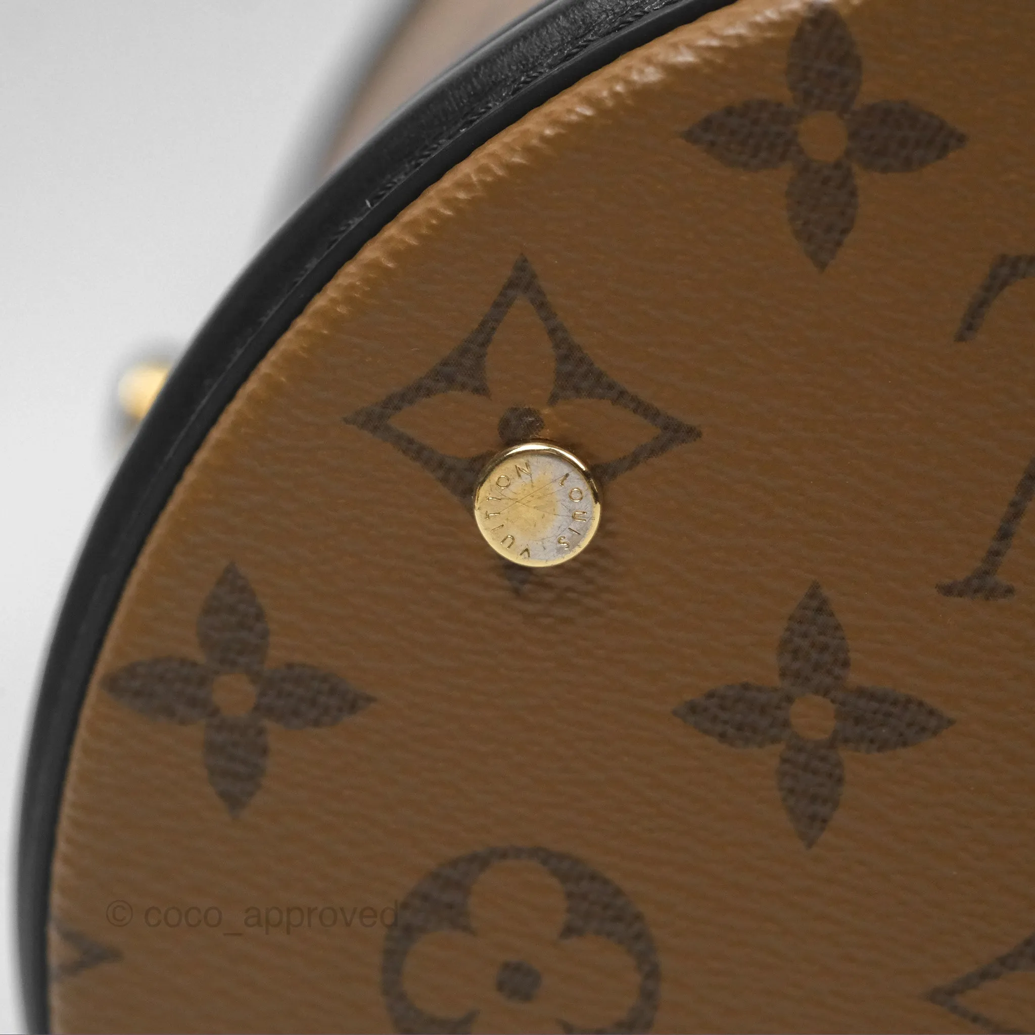 Louis Vuitton Monogram Canvas Reverse Cannes Bag