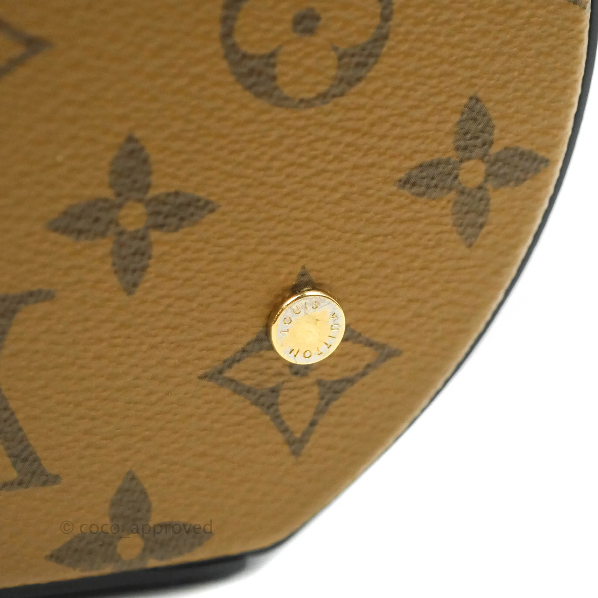 Louis Vuitton Monogram Canvas Reverse Cannes Bag