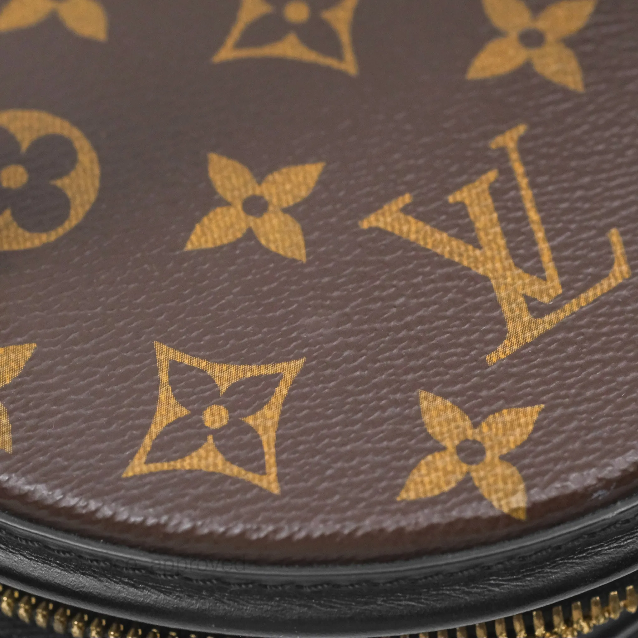 Louis Vuitton Monogram Canvas Reverse Cannes Bag